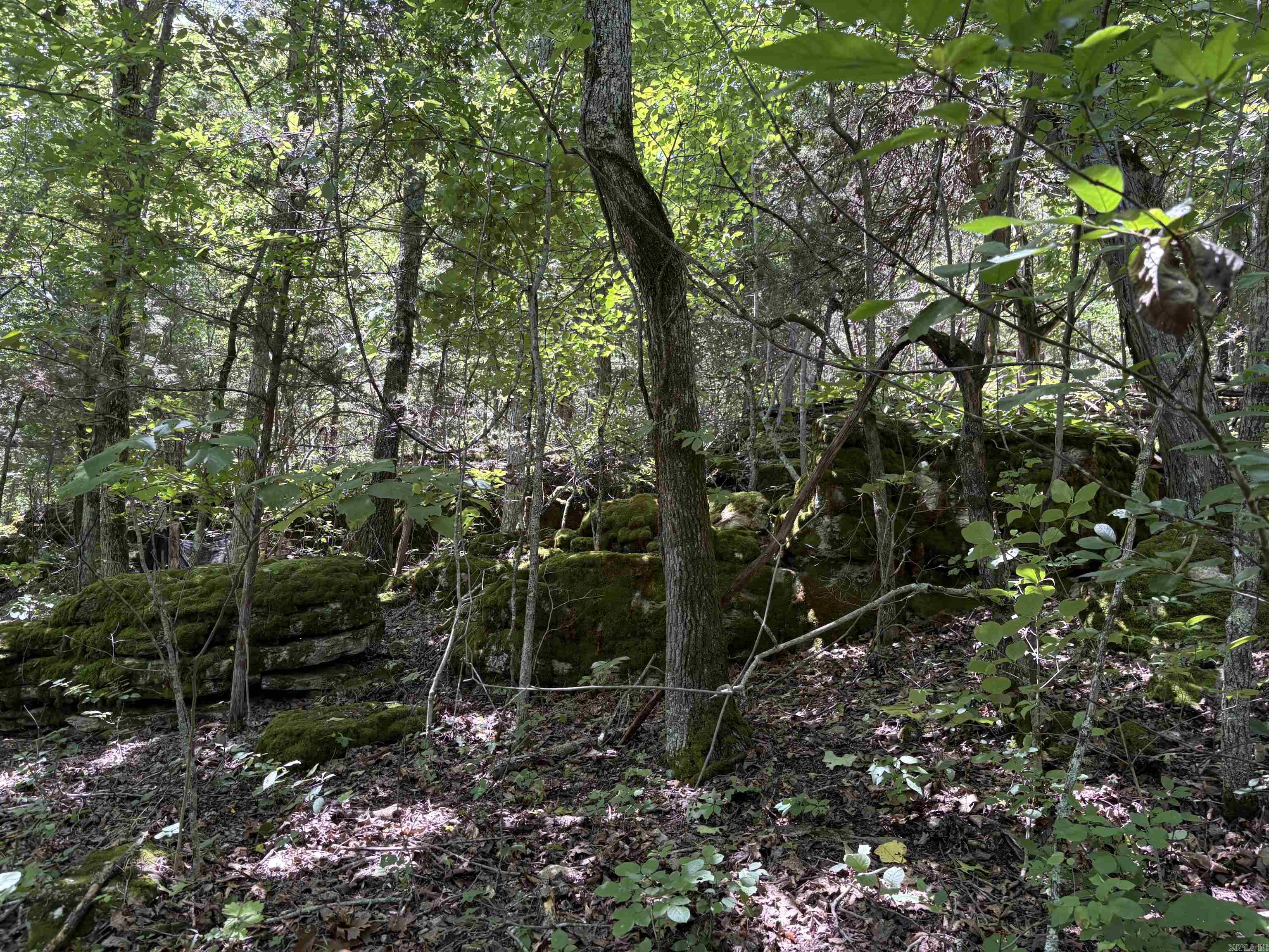 780-01045-000 Saint Clair  Pyatt, AR