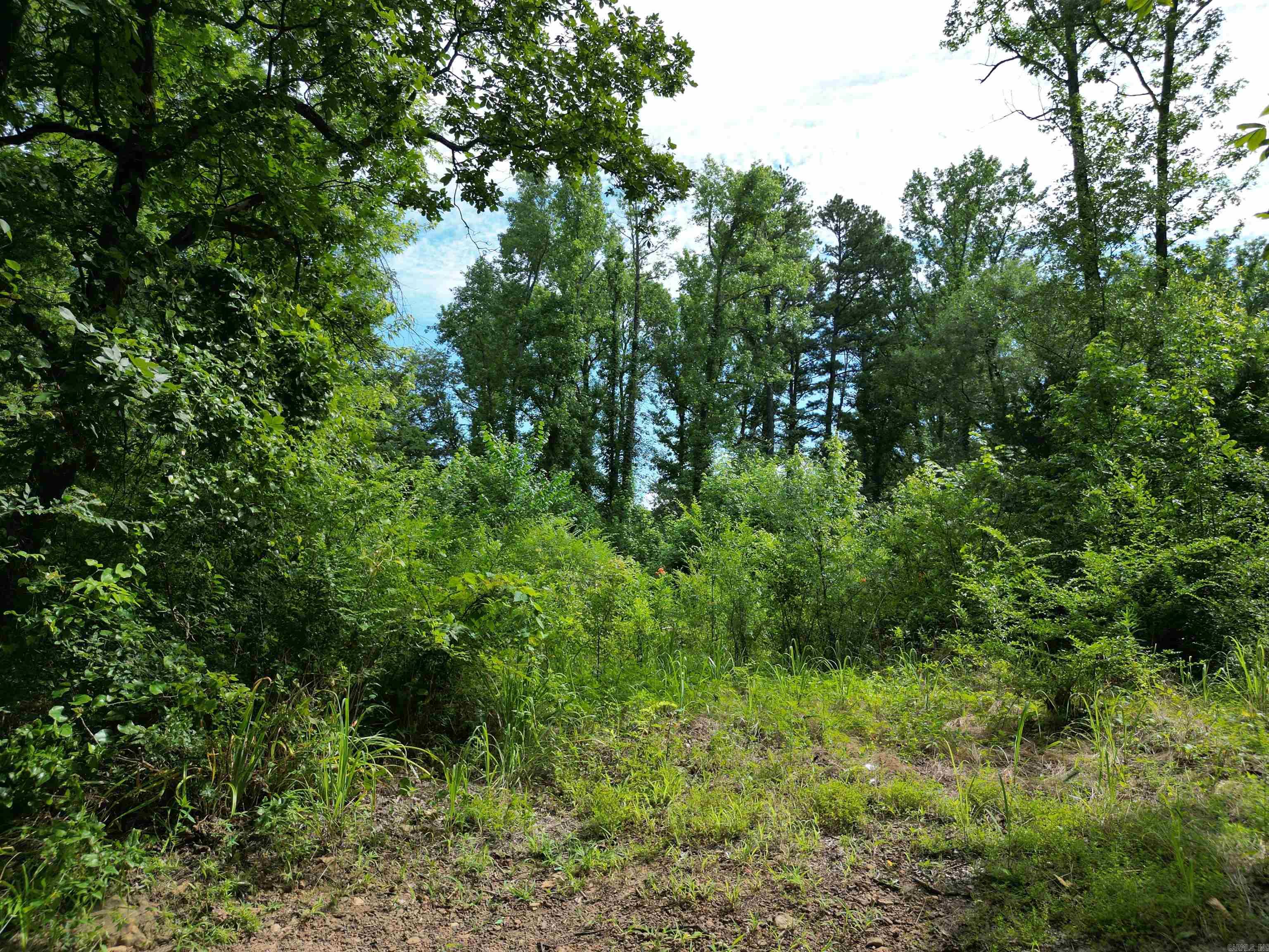 60 SOLOMON  Dover, AR