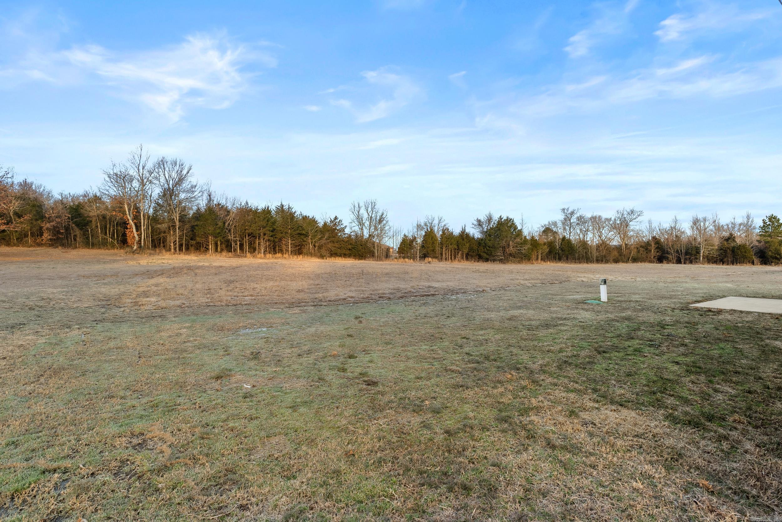 10 Otto Landing  Greenbrier, AR