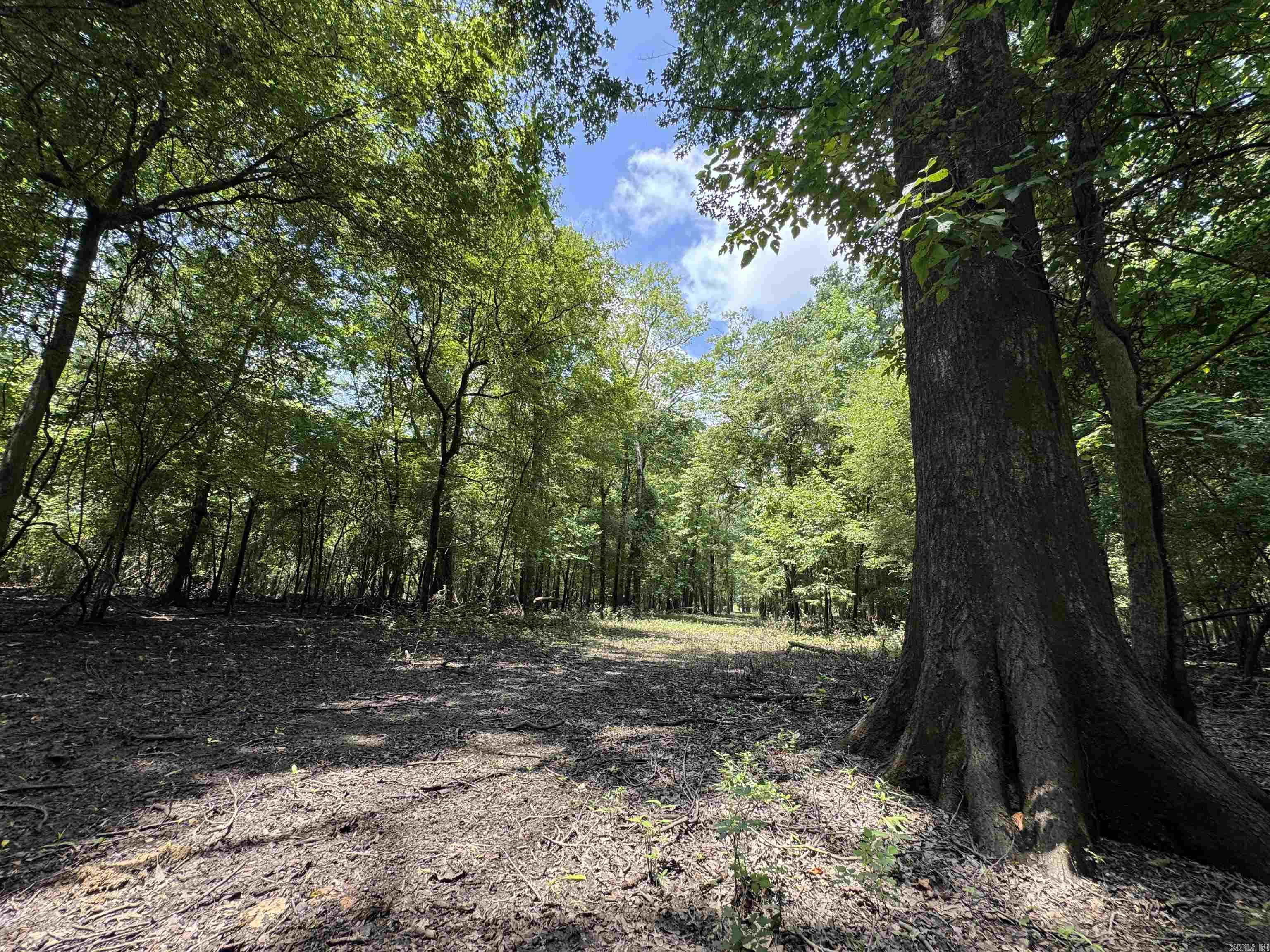 00 70  Biscoe, AR
