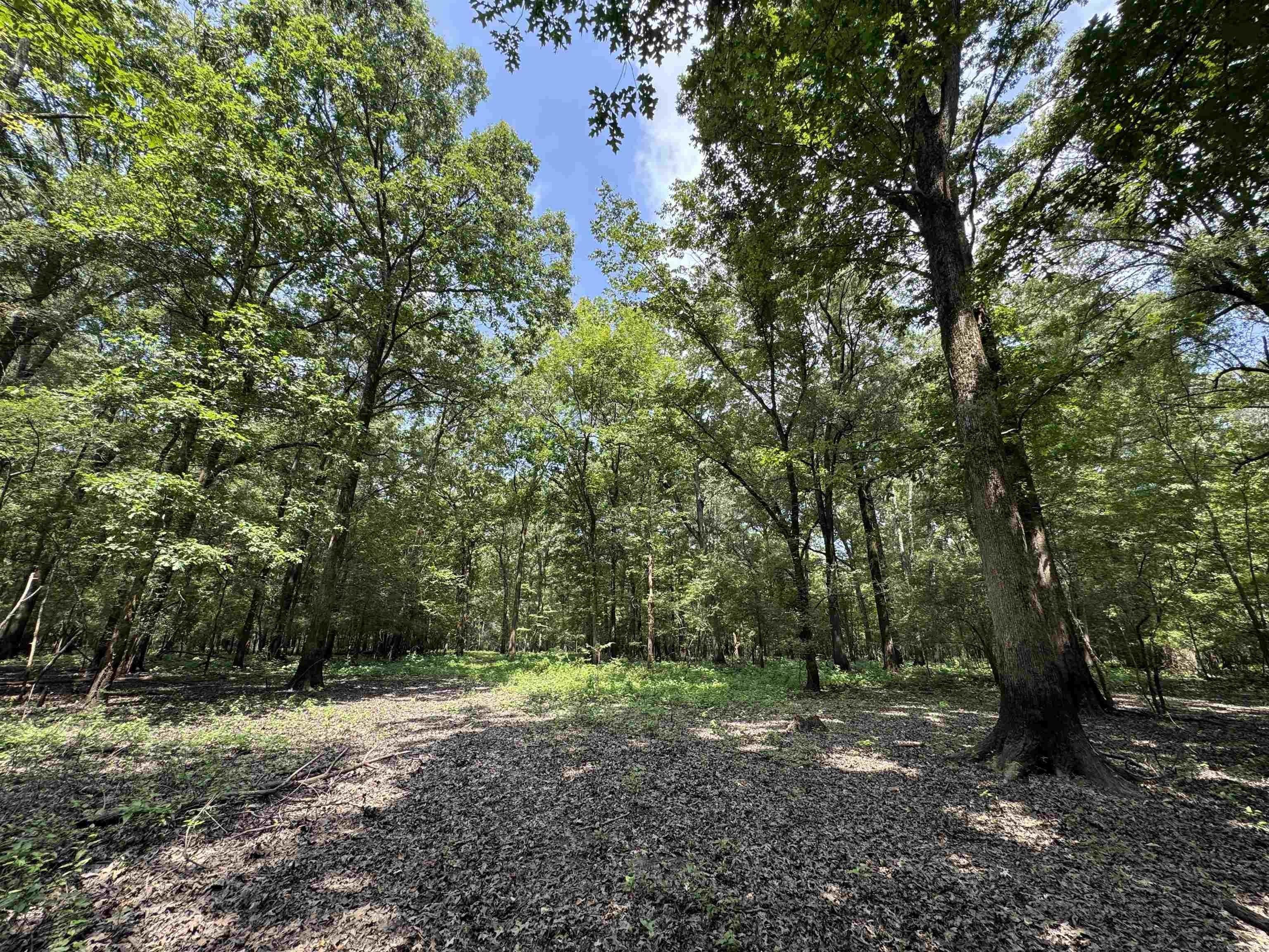 00 70  Biscoe, AR