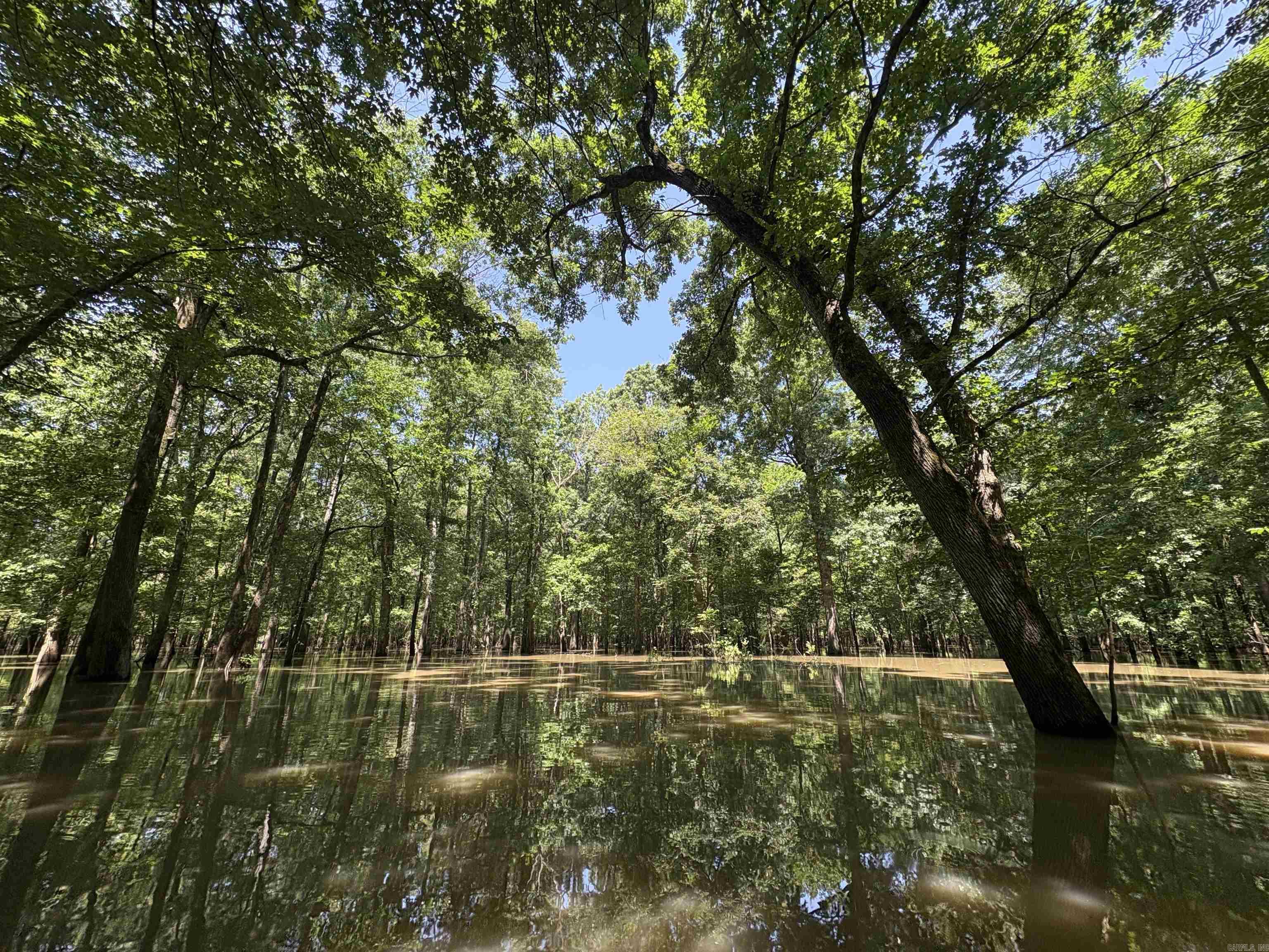 00 70  Biscoe, AR