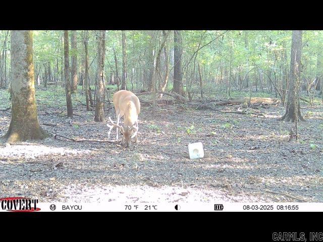 00 70  Biscoe, AR