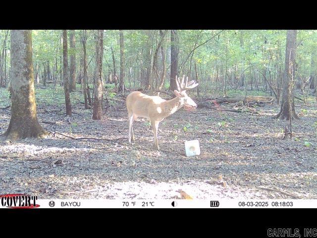 00 70  Biscoe, AR