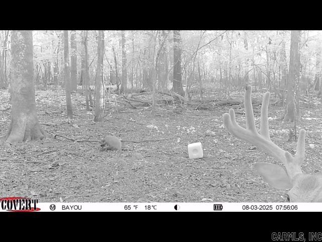 00 70  Biscoe, AR