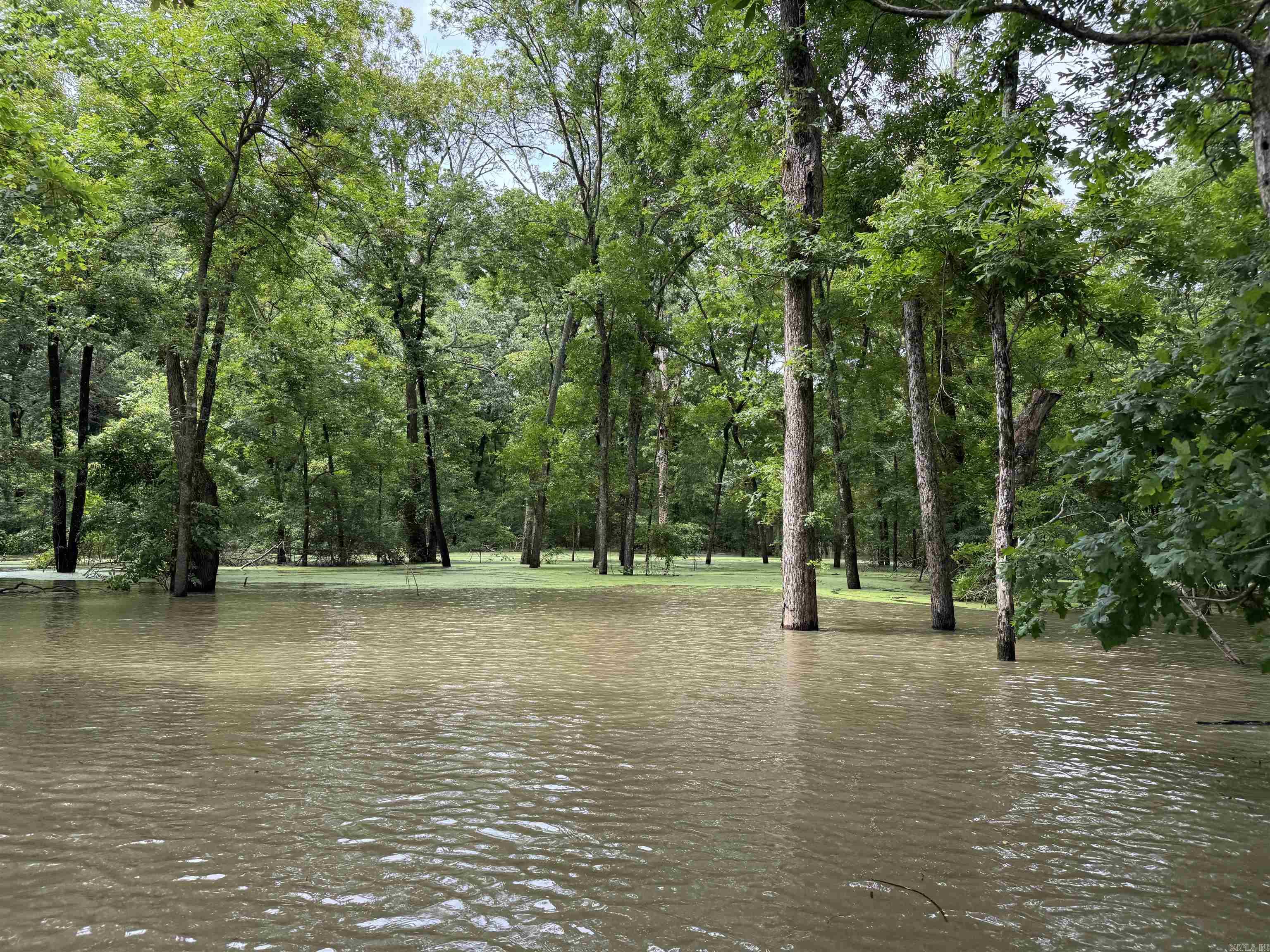 00 70  Biscoe, AR