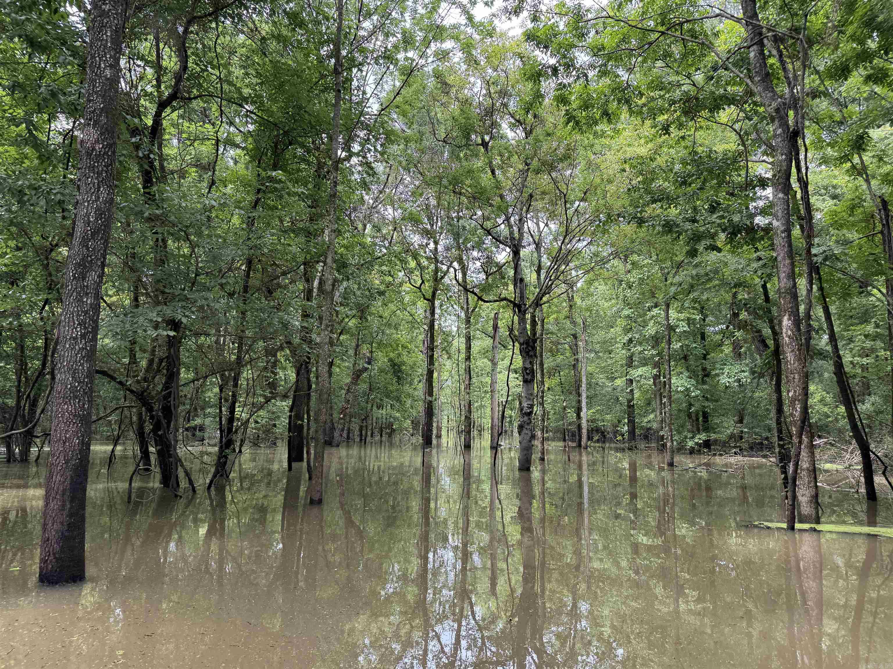00 70  Biscoe, AR