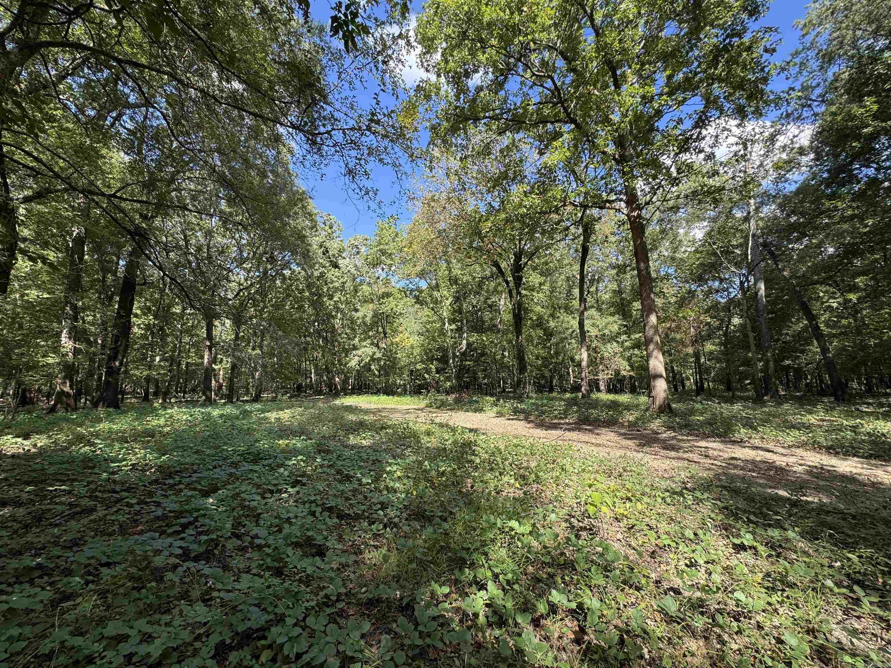 00 70  Biscoe, AR
