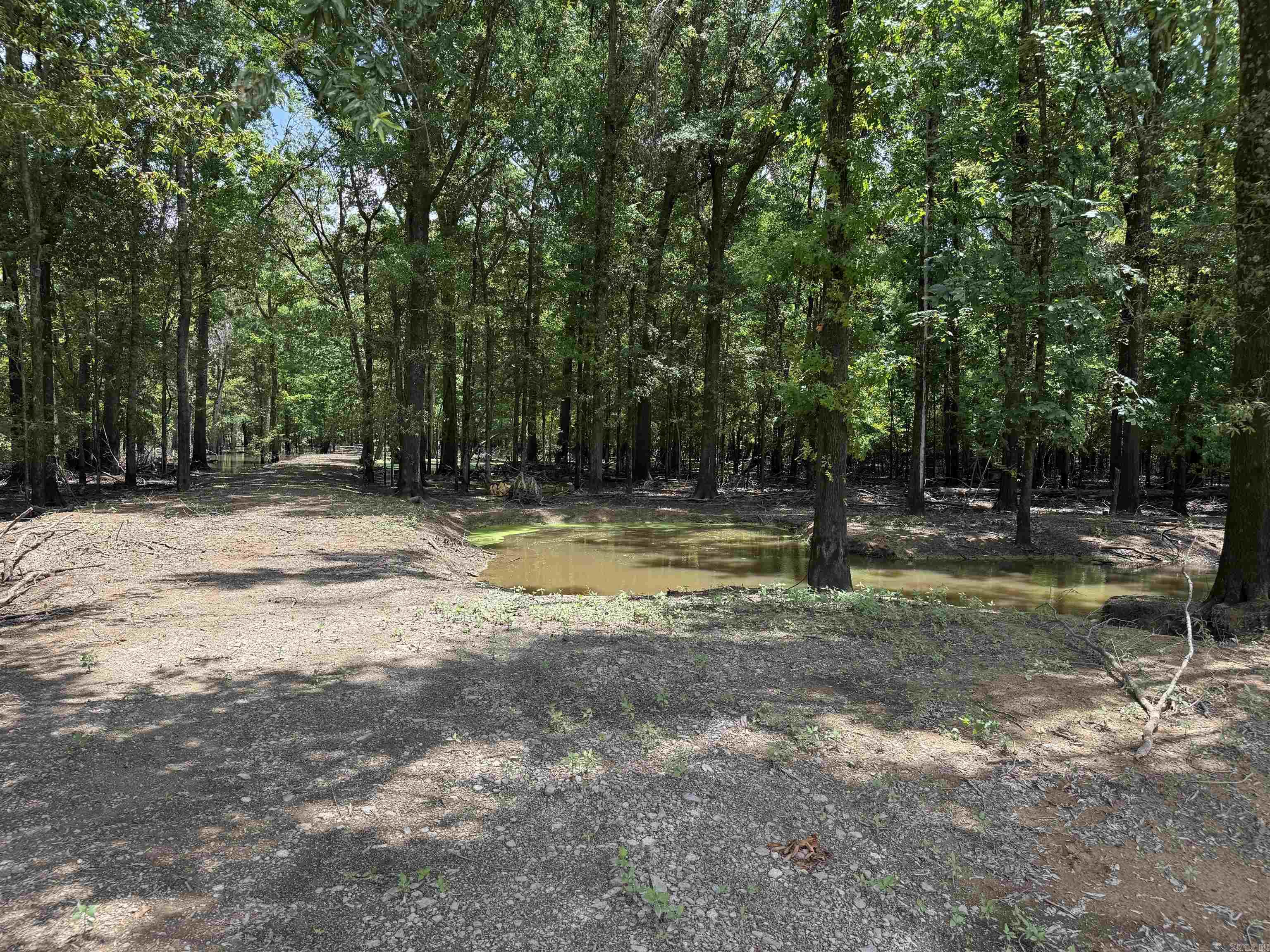 00 70  Biscoe, AR