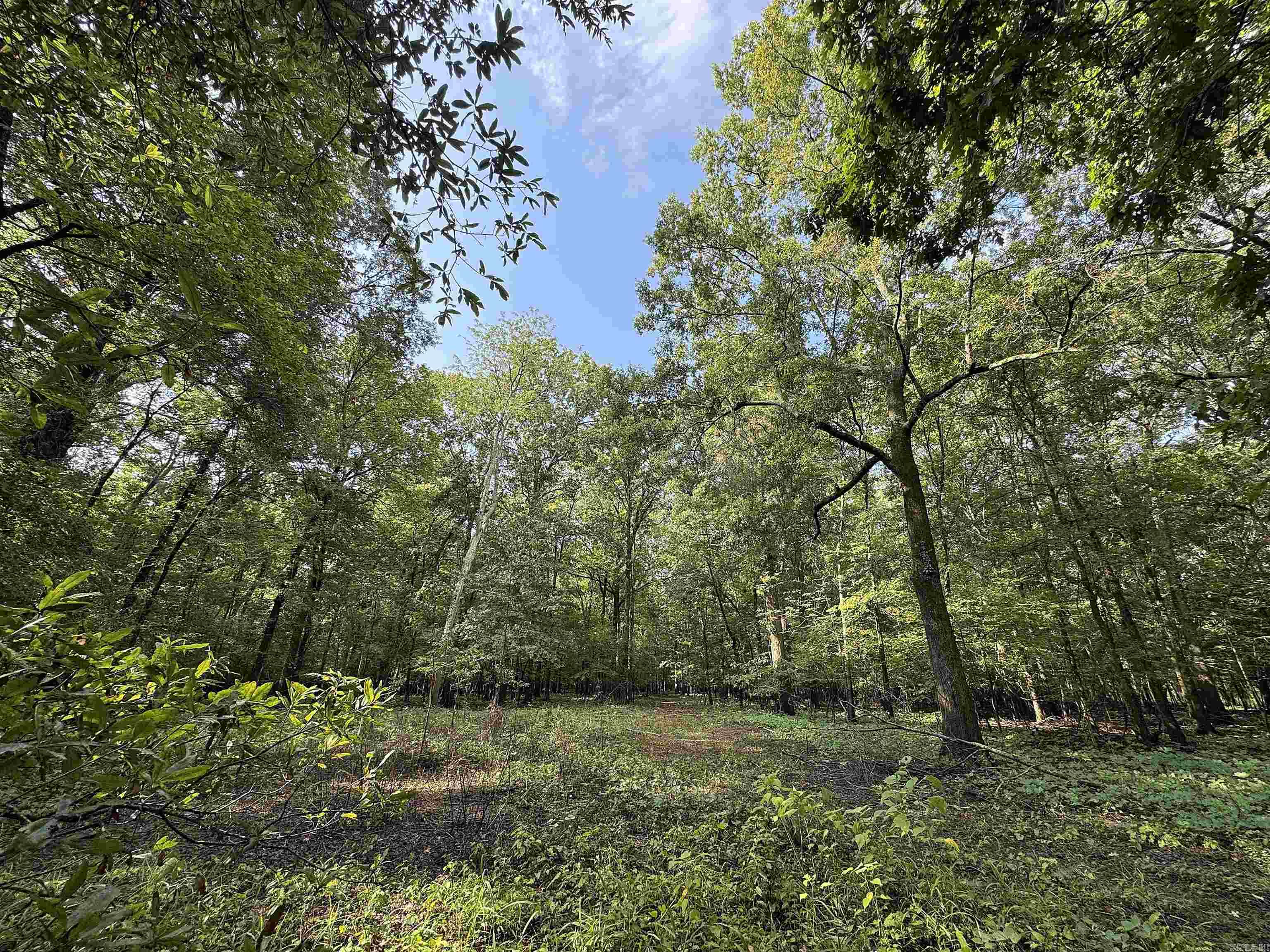 00 70  Biscoe, AR