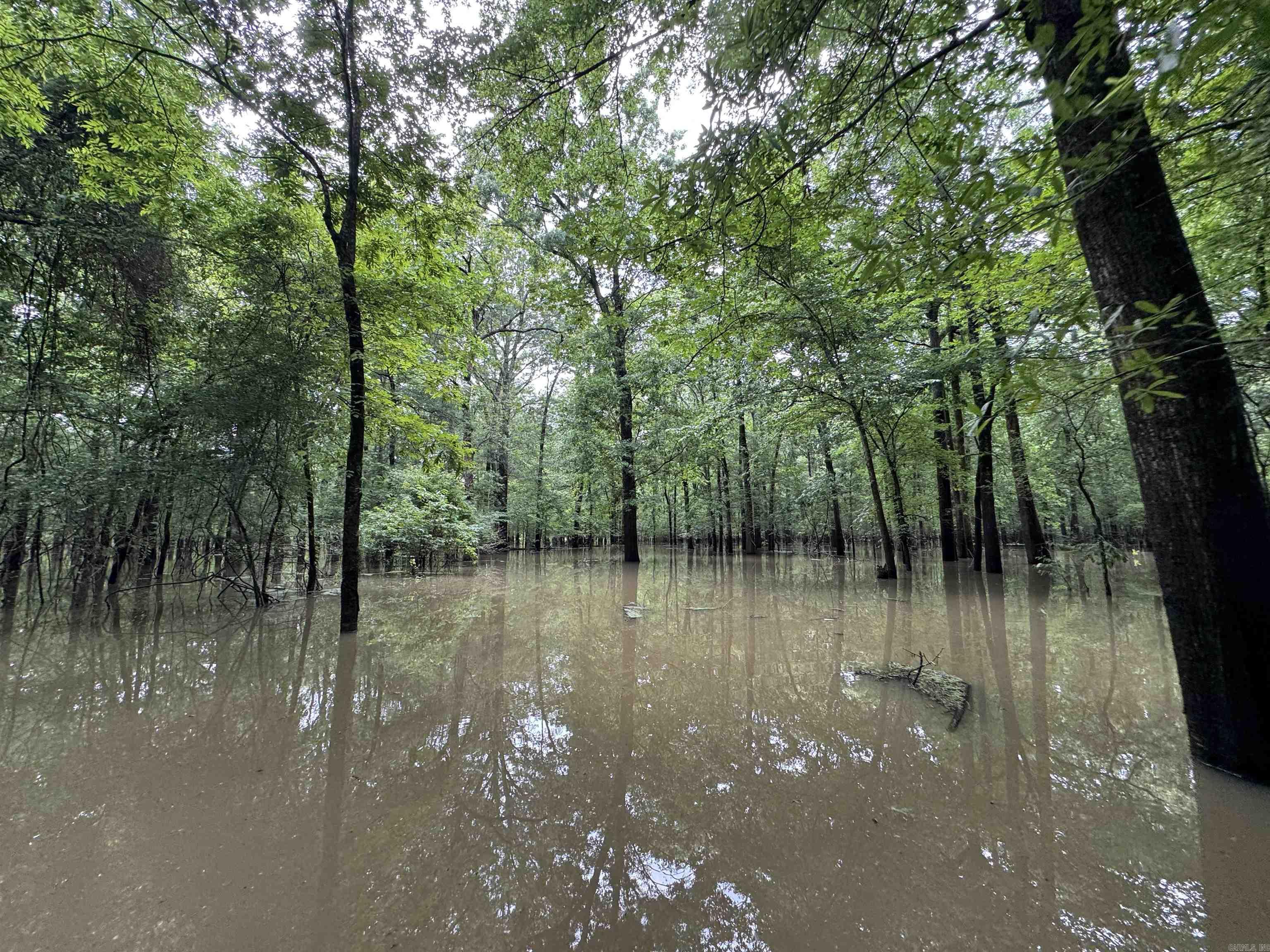 00 70  Biscoe, AR