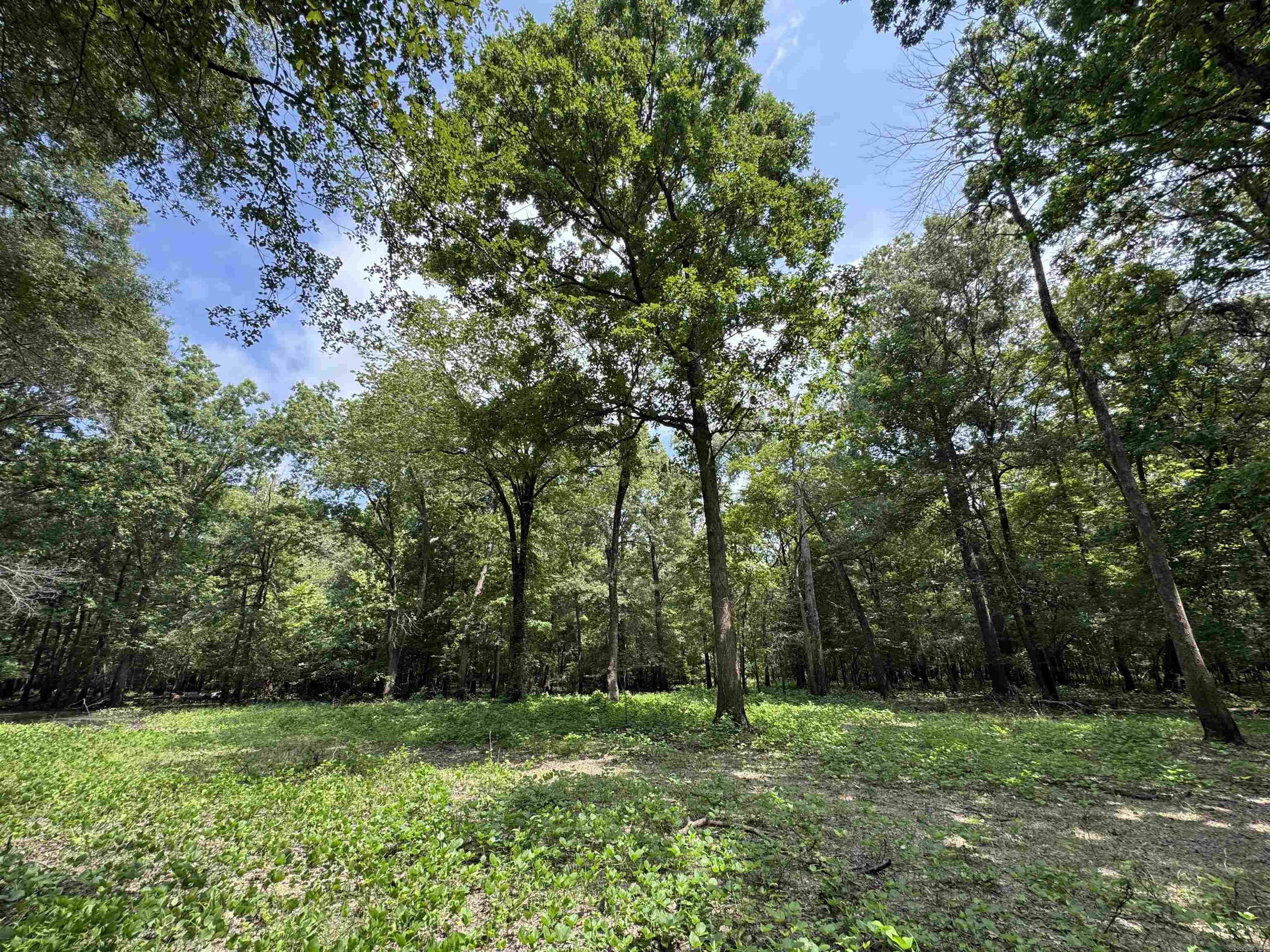 00 70  Biscoe, AR