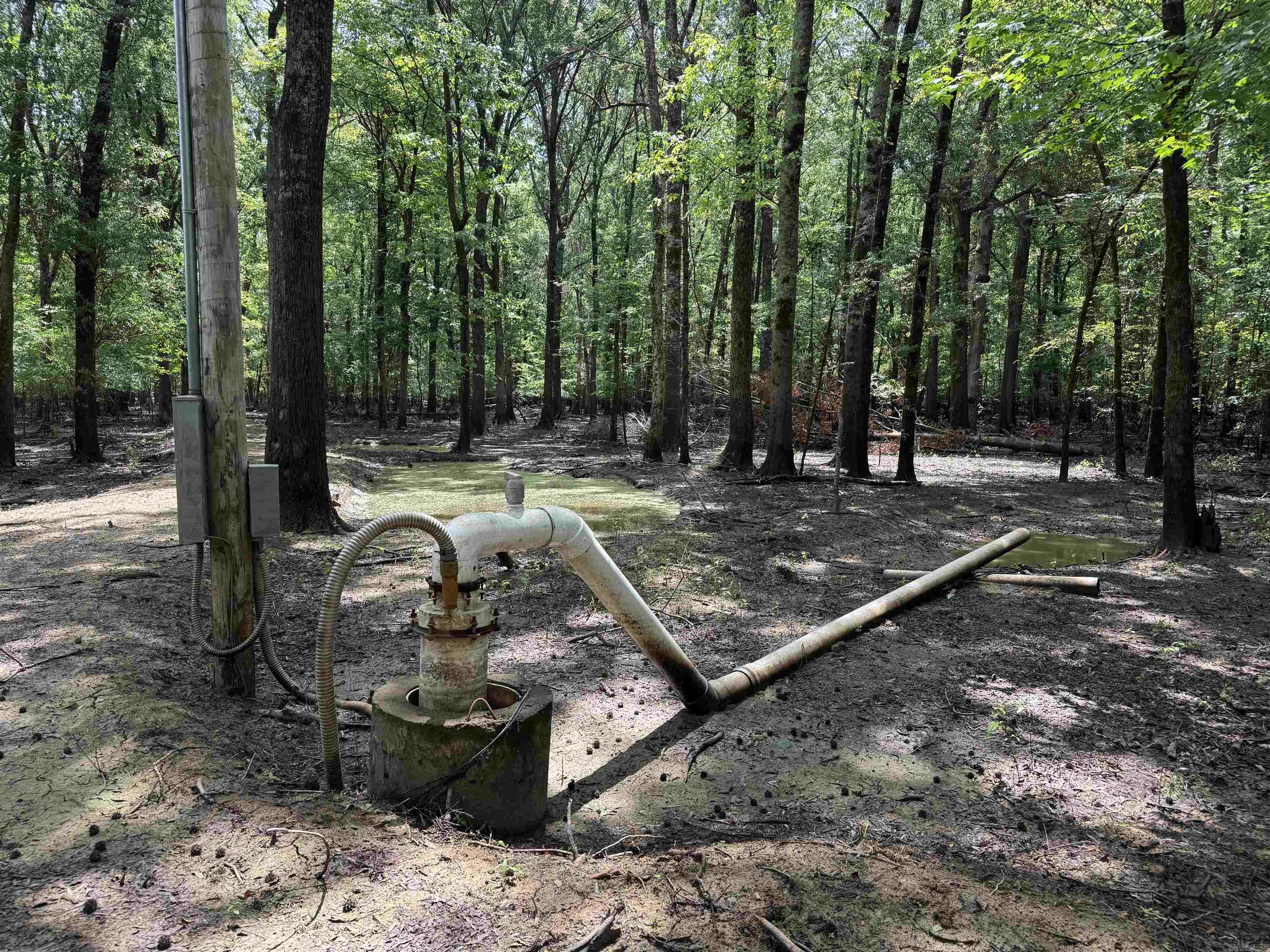 00 70  Biscoe, AR