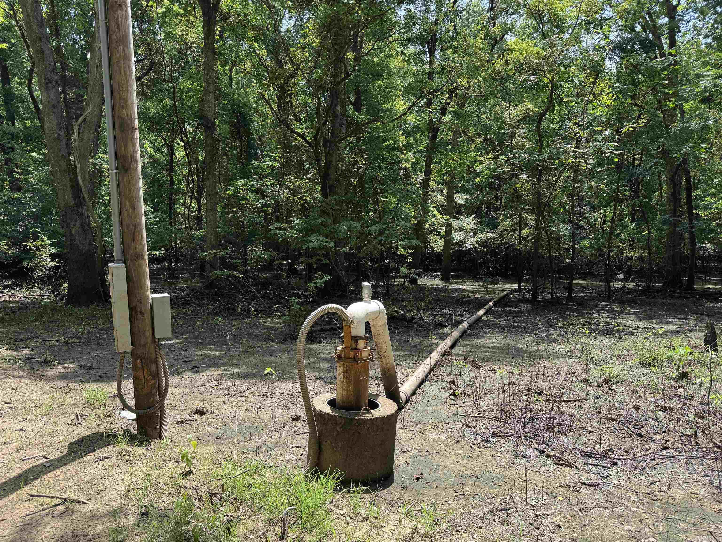 00 70  Biscoe, AR