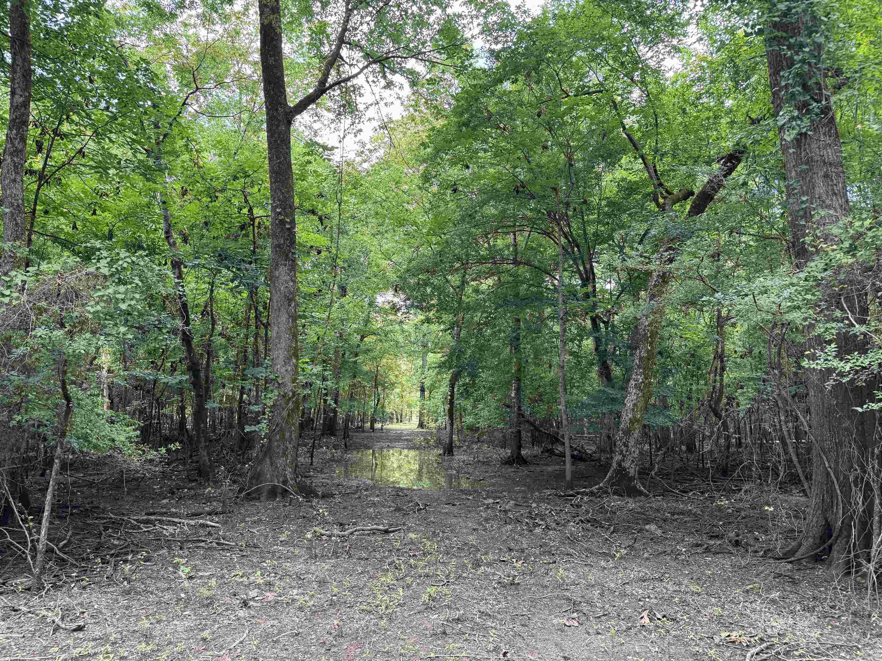 00 70  Biscoe, AR
