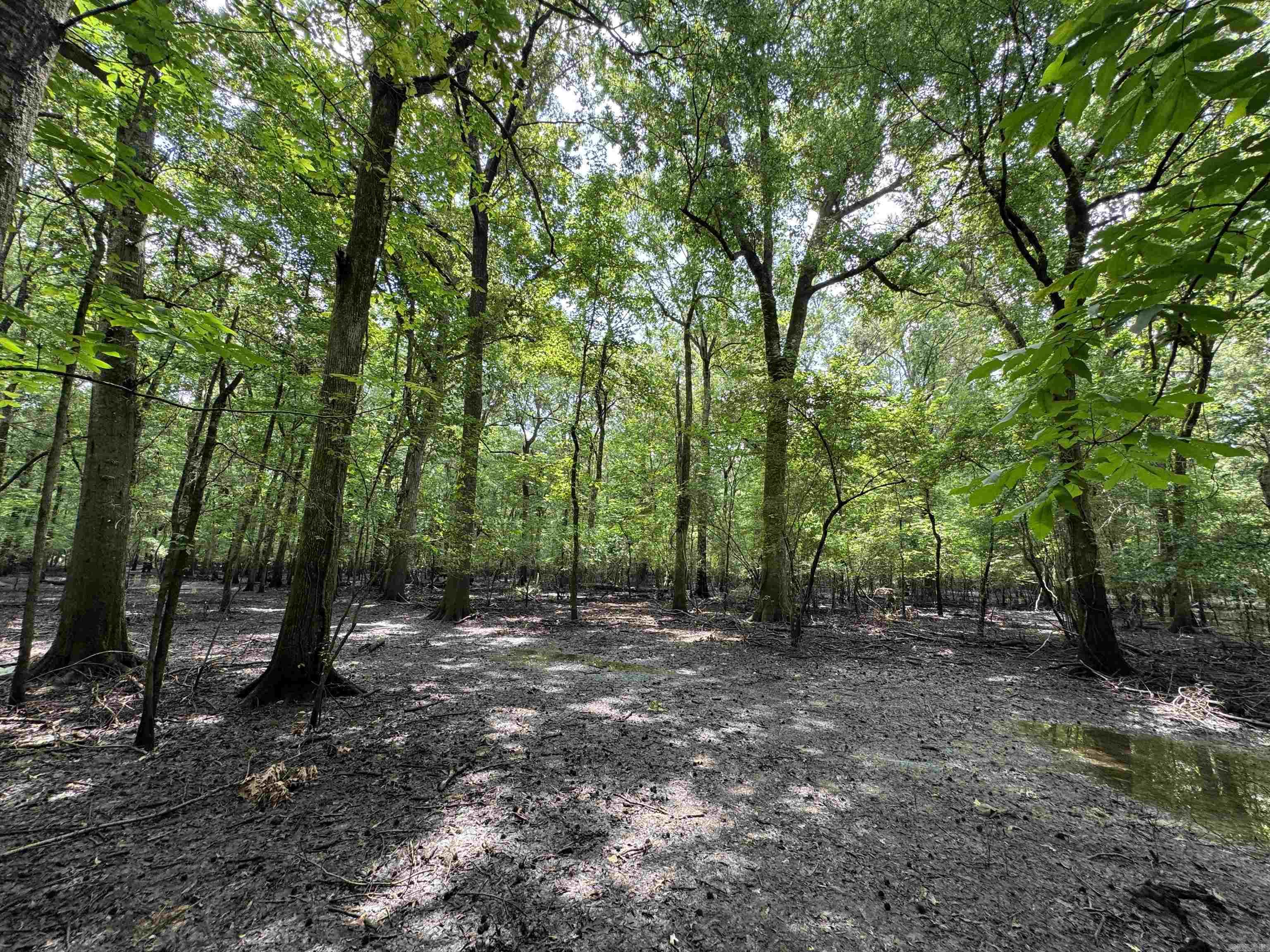 00 70  Biscoe, AR