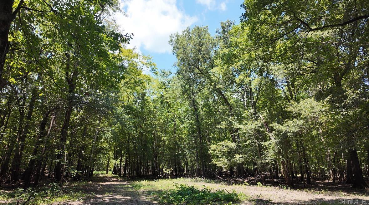 00 70  Biscoe, AR