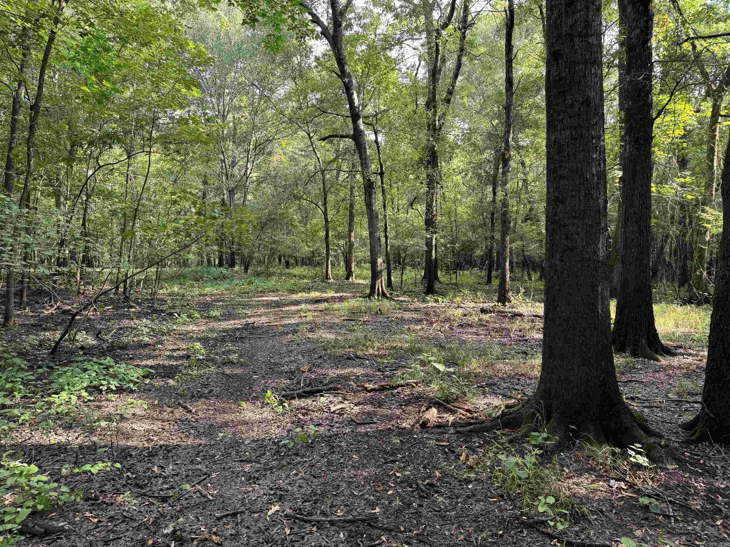 00 70  Biscoe, AR