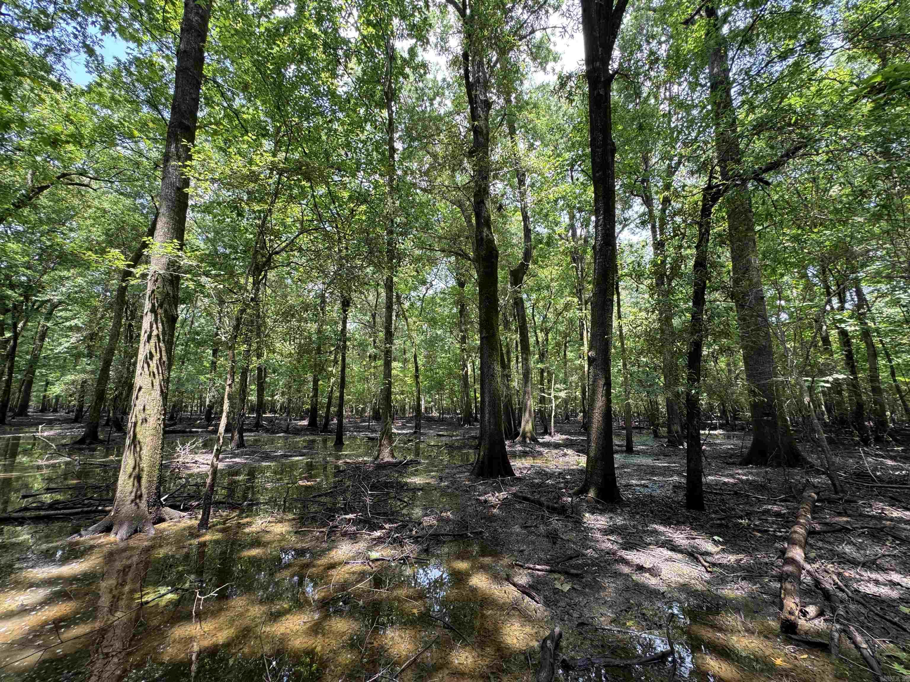 00 70  Biscoe, AR
