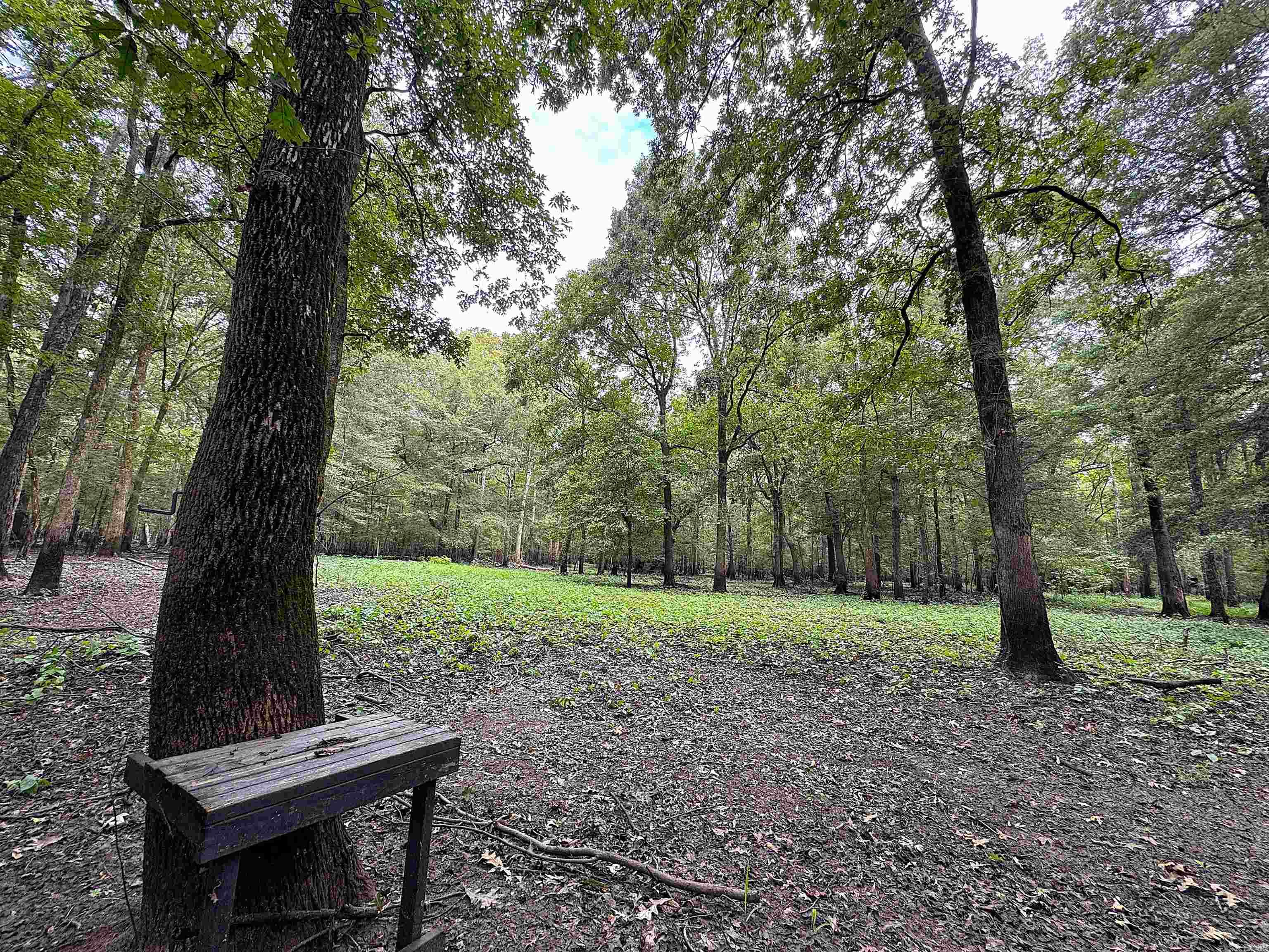 00 70  Biscoe, AR
