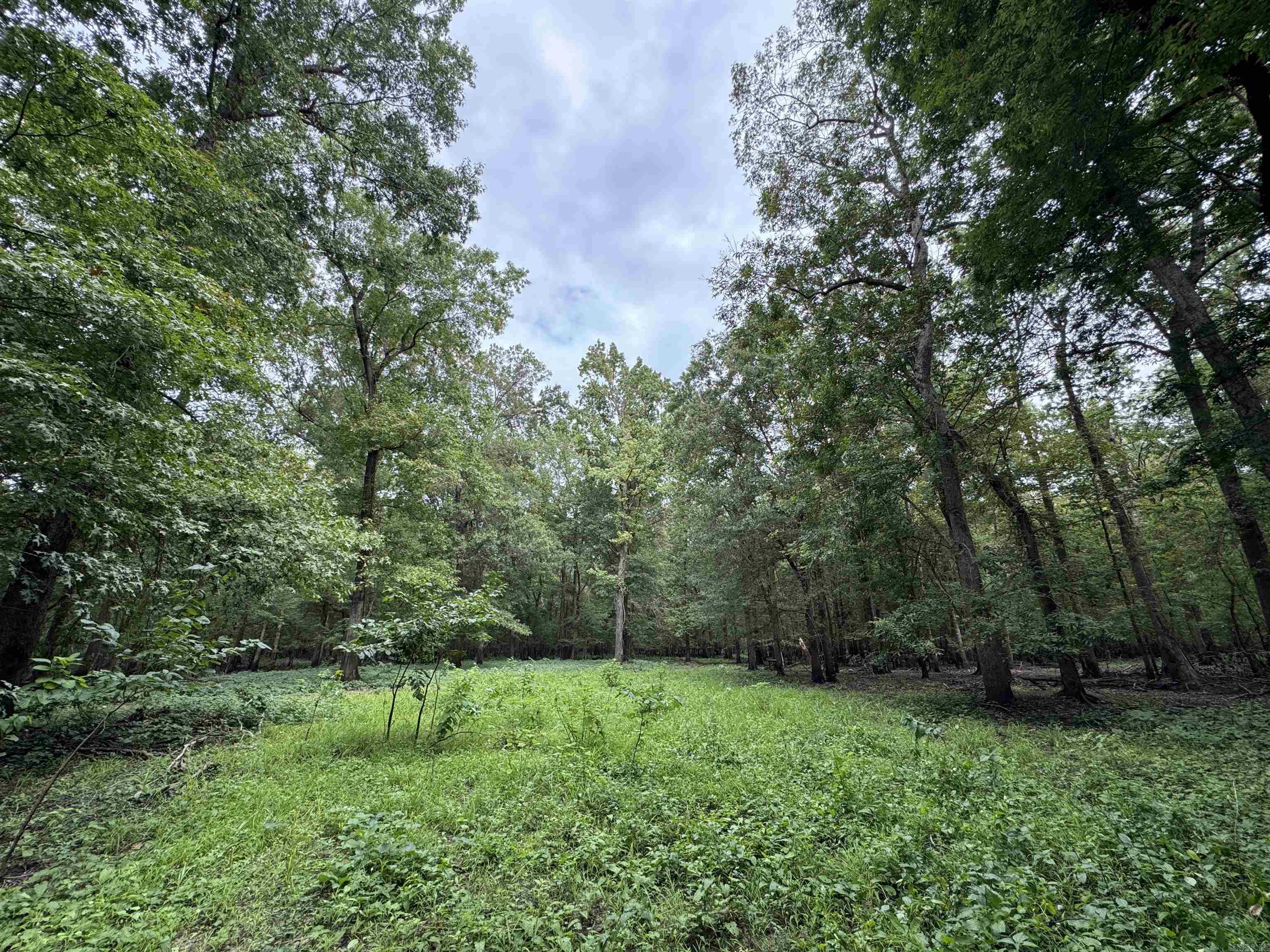 00 70  Biscoe, AR