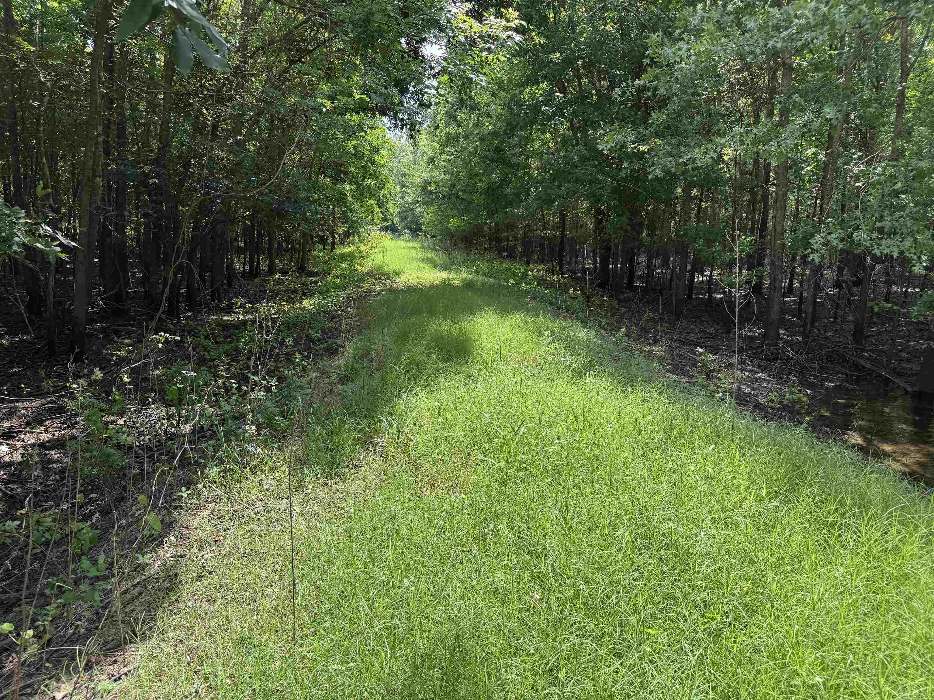 00 70  Biscoe, AR