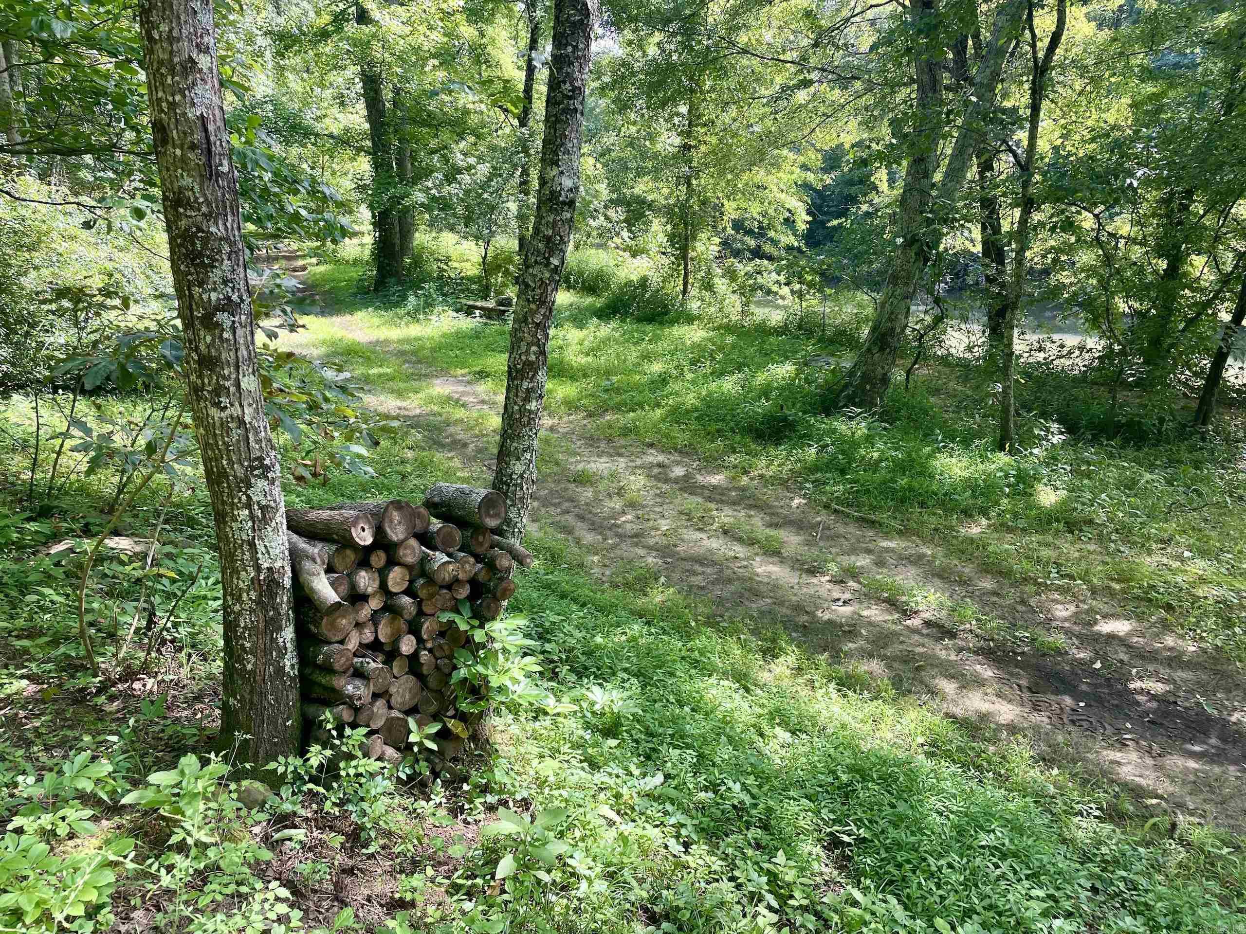 000 Beckett Mountain Road  Mount Vernon, AR