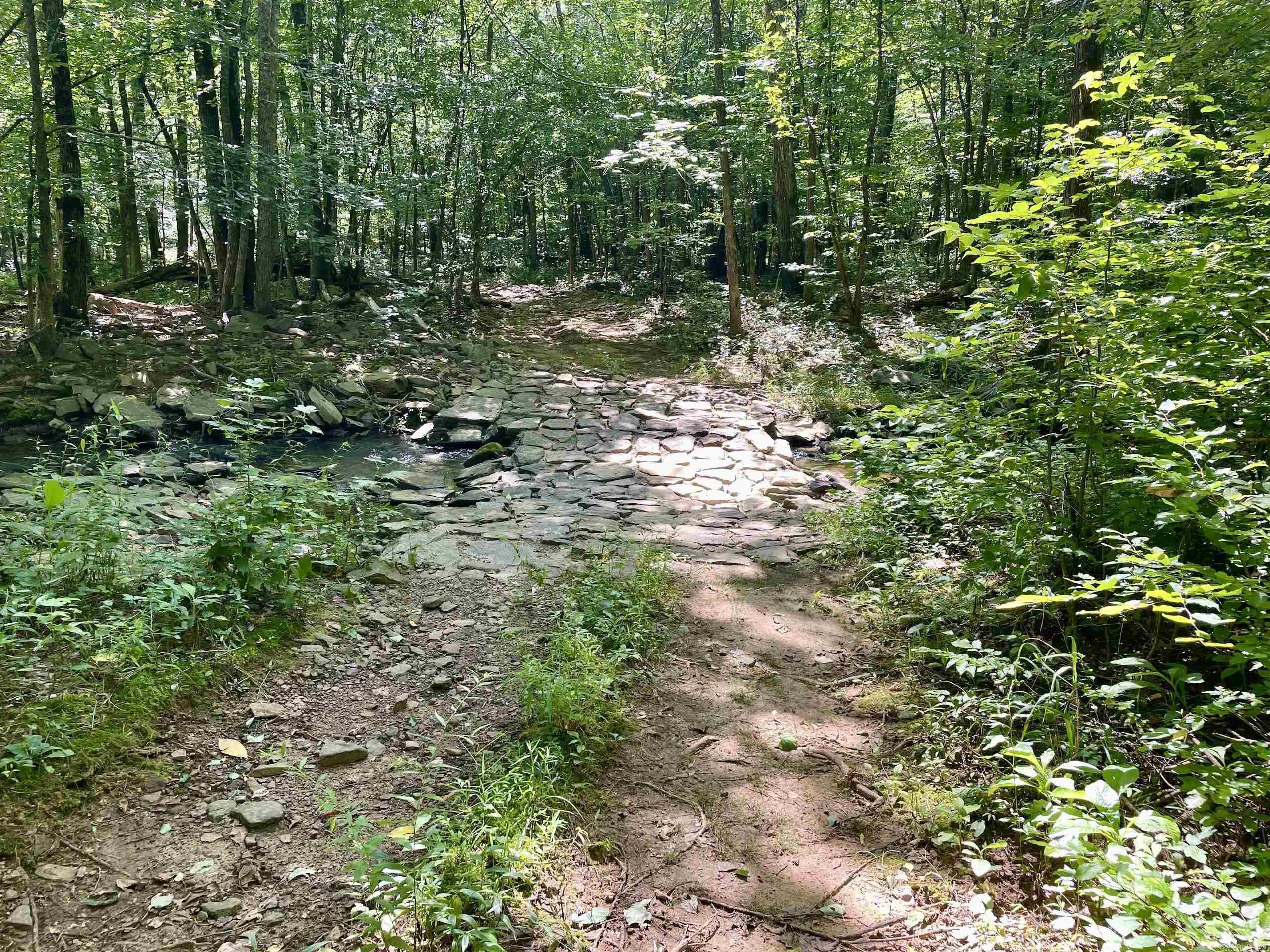 000 Beckett Mountain Road  Mount Vernon, AR