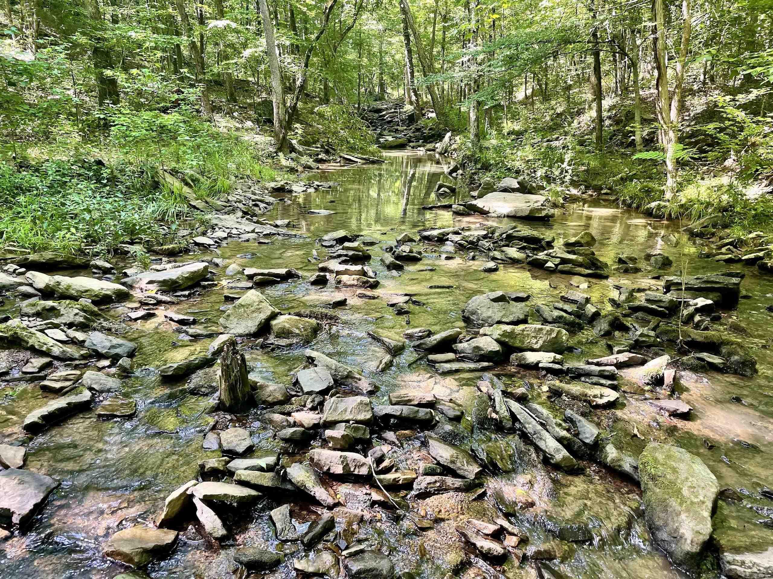 000 Beckett Mountain Road  Mount Vernon, AR