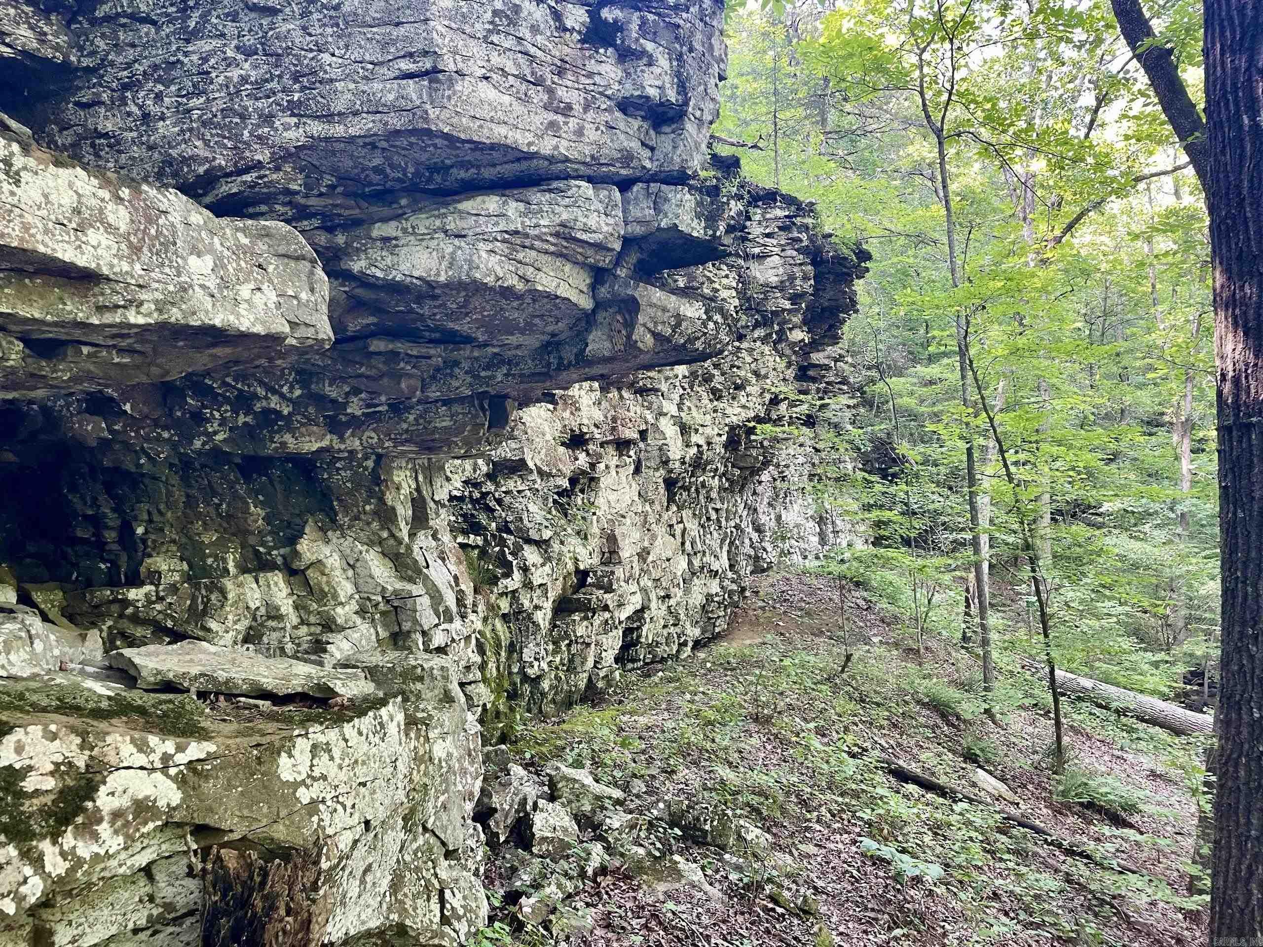 000 Beckett Mountain Road  Mount Vernon, AR