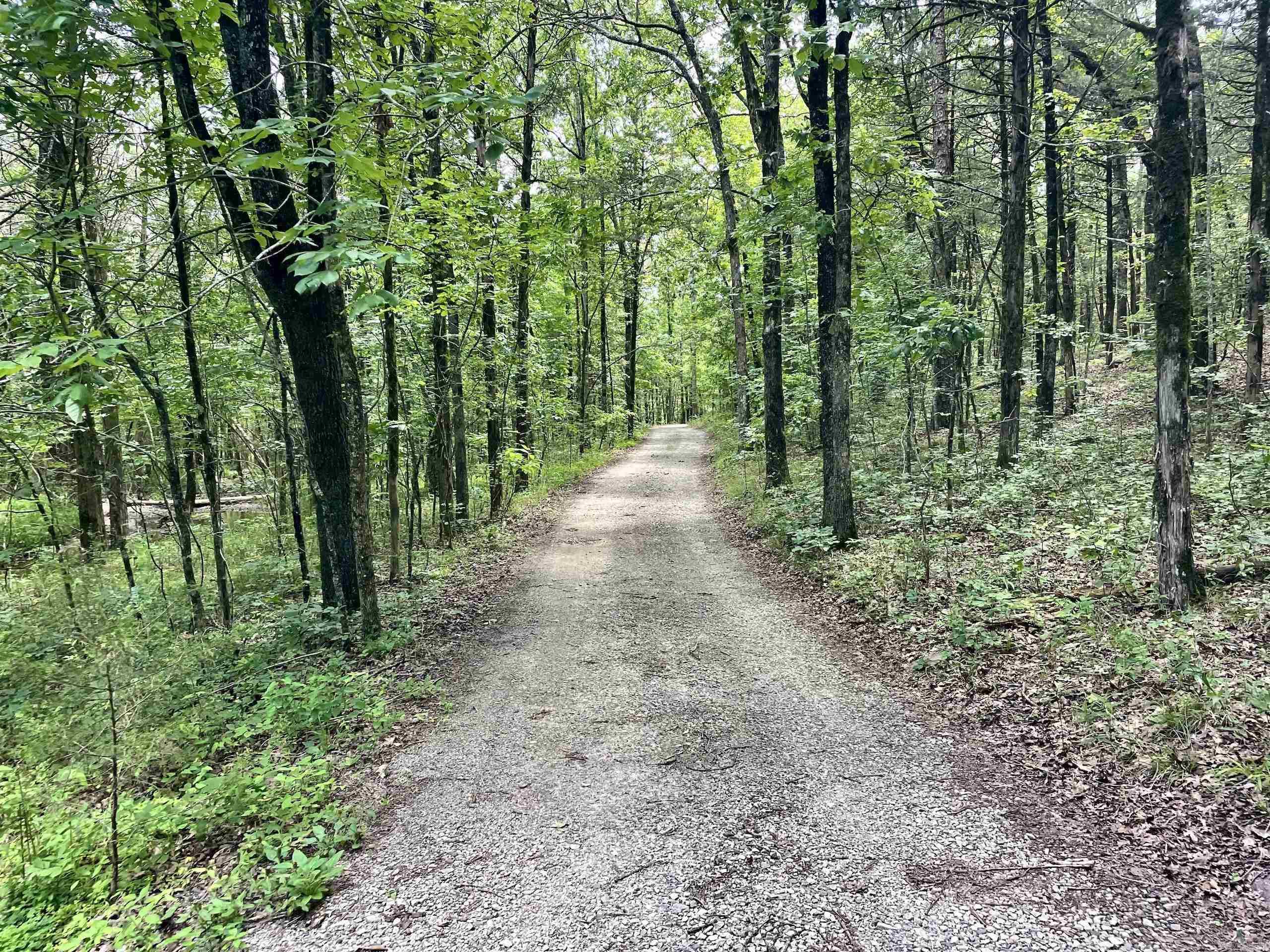 000 Beckett Mountain Road  Mount Vernon, AR