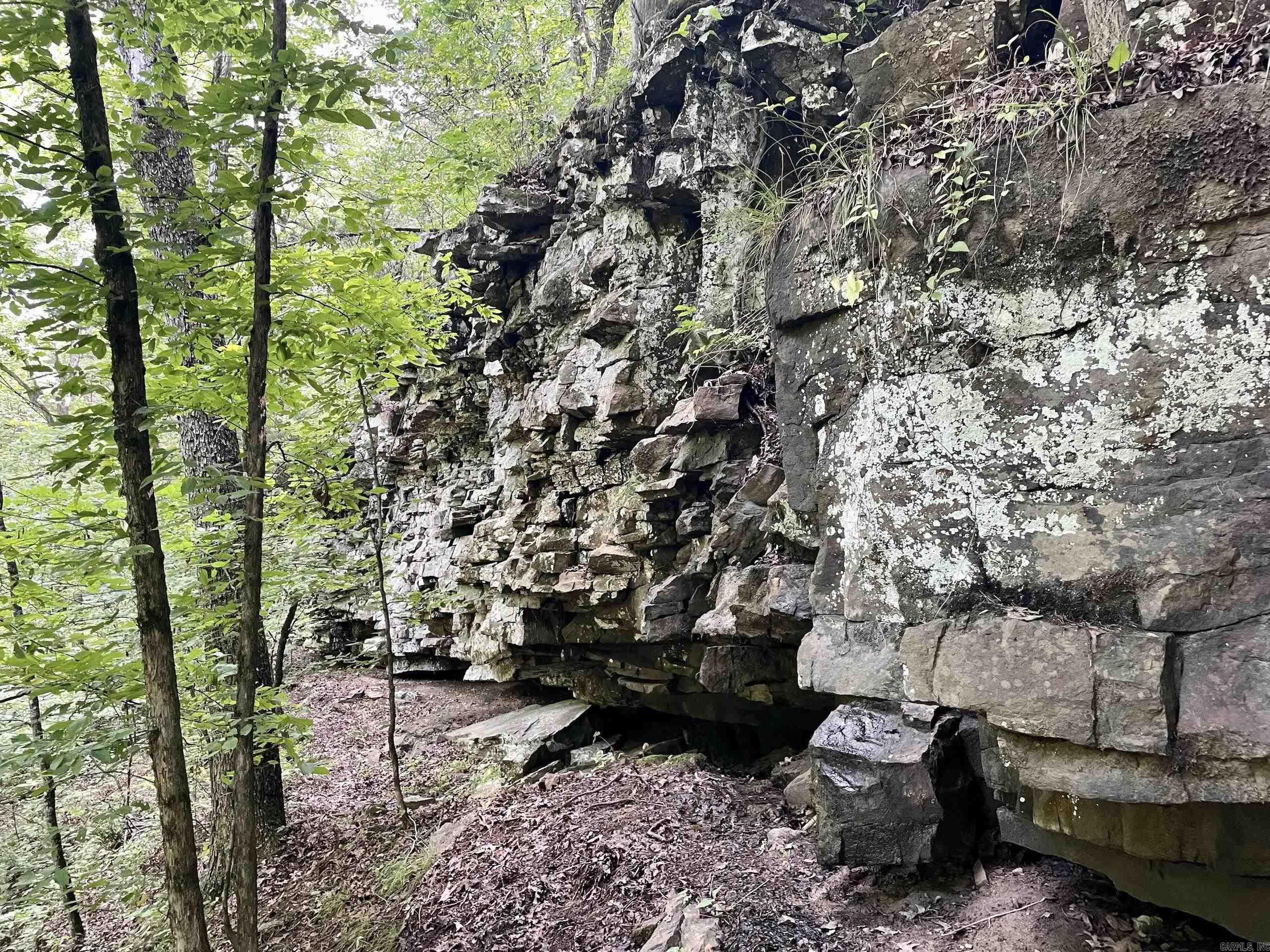 000 Beckett Mountain Road  Mount Vernon, AR