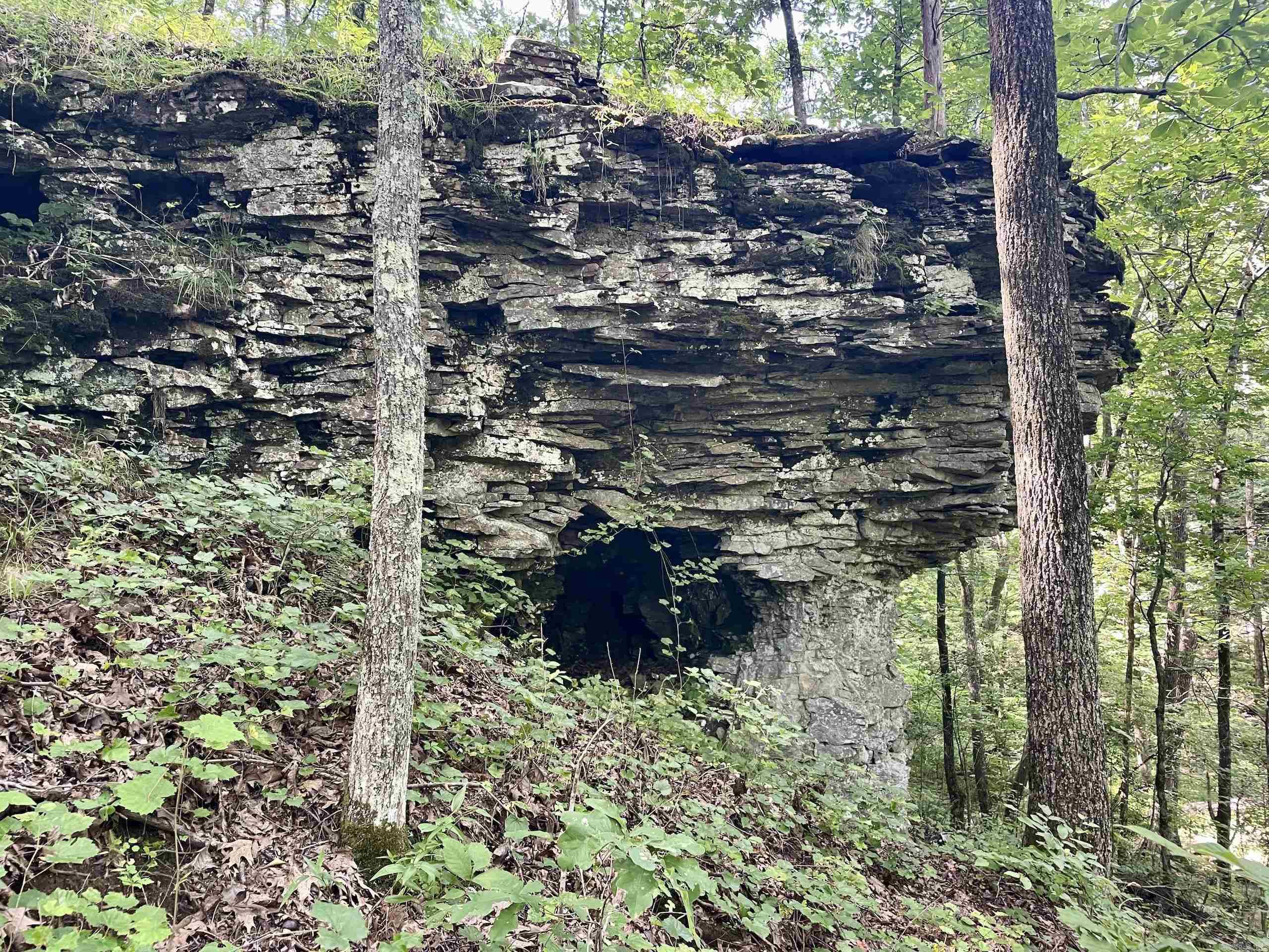 000 Beckett Mountain Road  Mount Vernon, AR