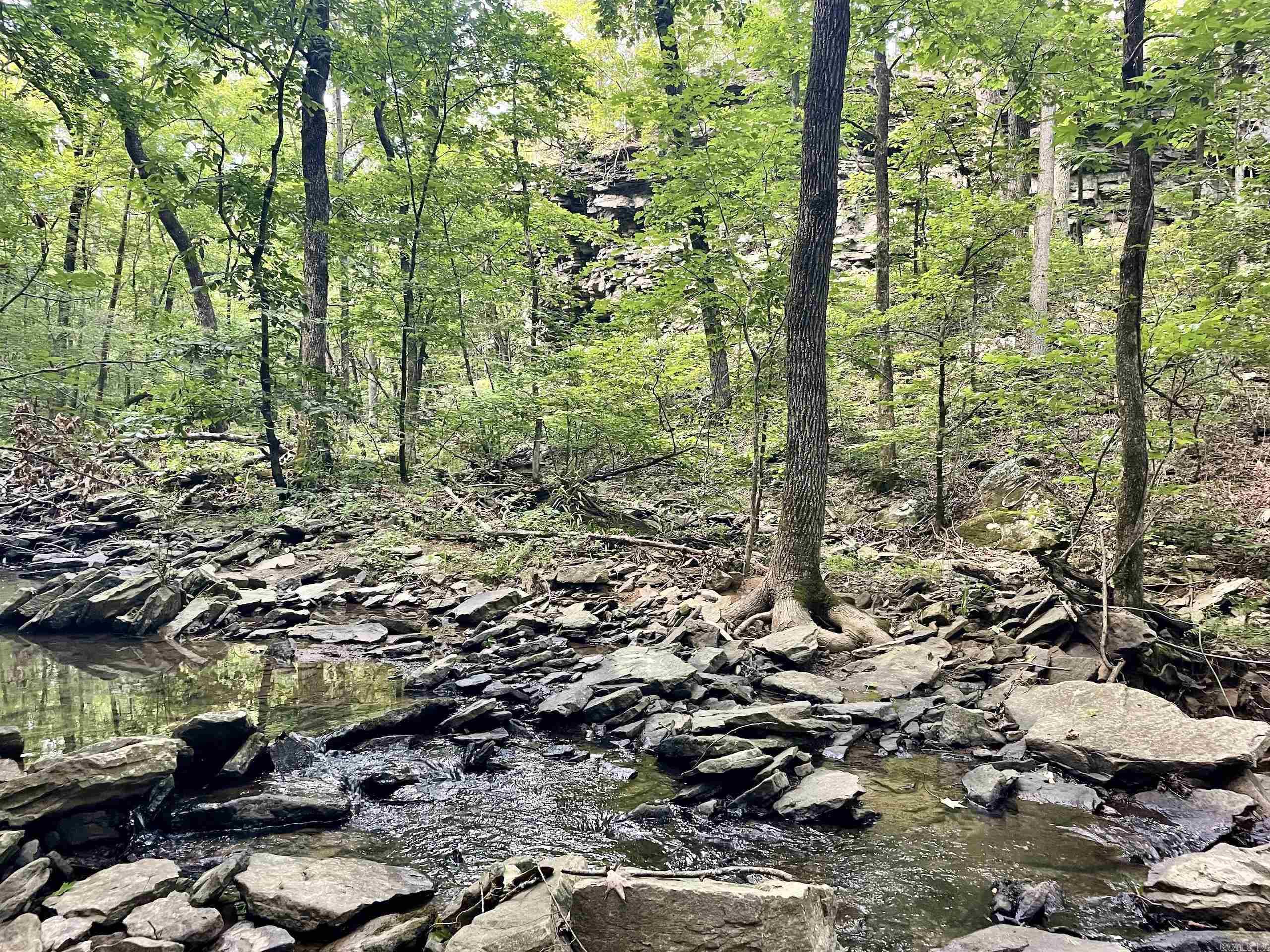 000 Beckett Mountain Road  Mount Vernon, AR