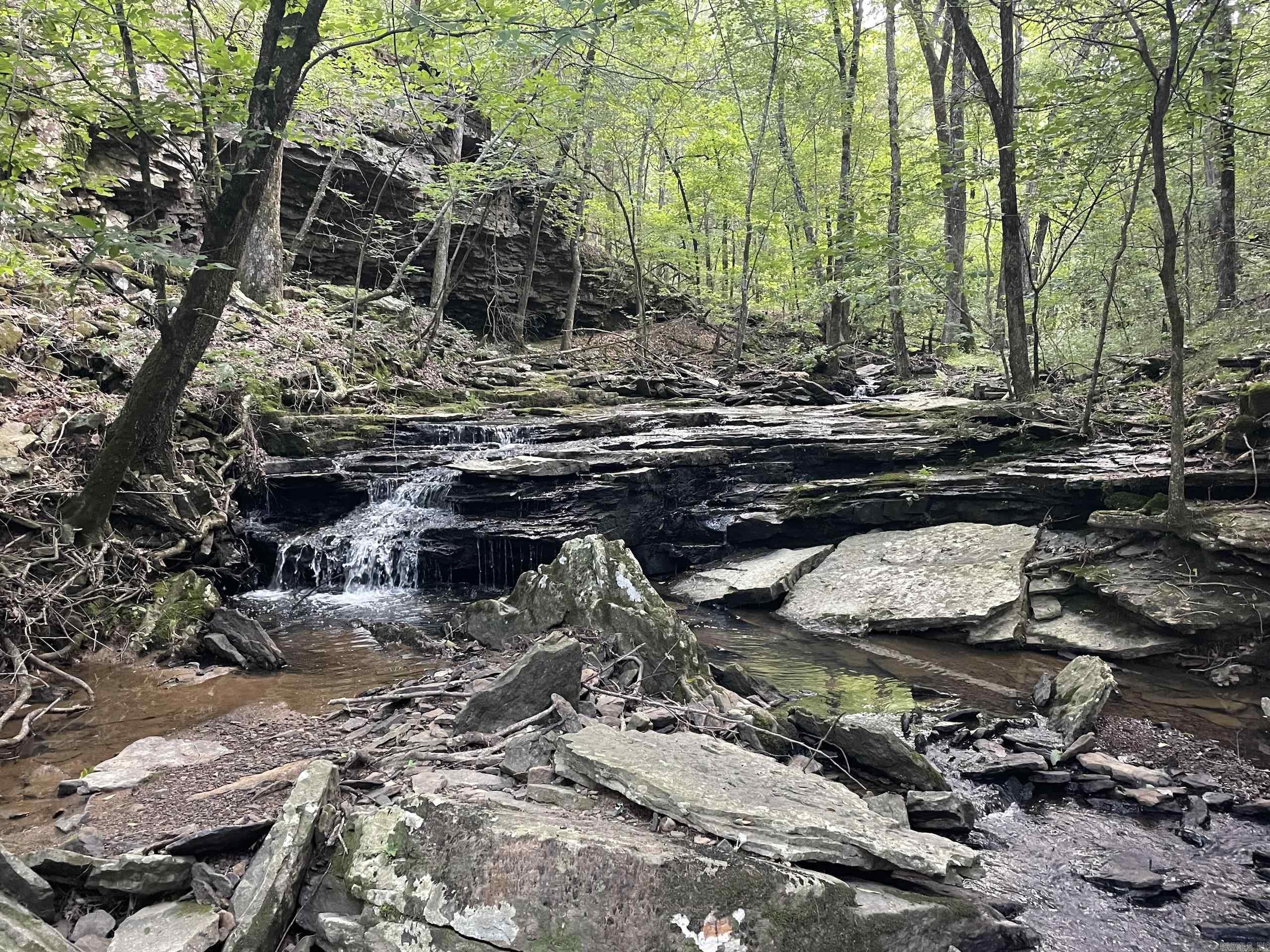000 Beckett Mountain Road  Mount Vernon, AR