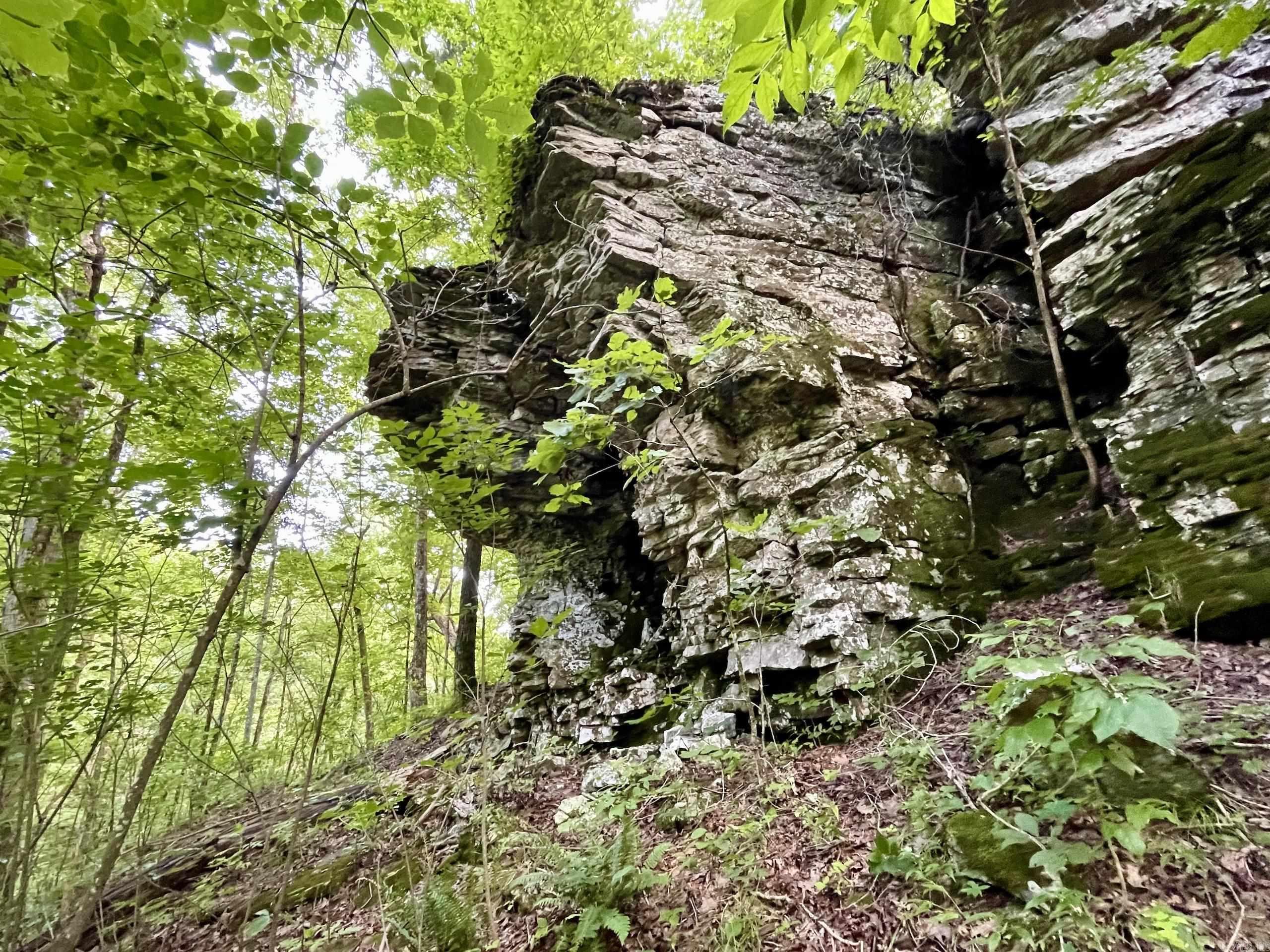 000 Beckett Mountain Road  Mount Vernon, AR