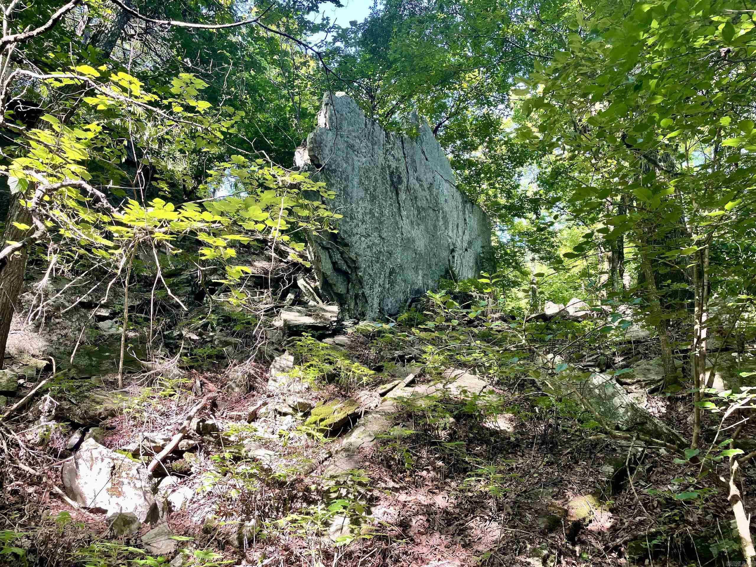 000 Beckett Mountain Road  Mount Vernon, AR