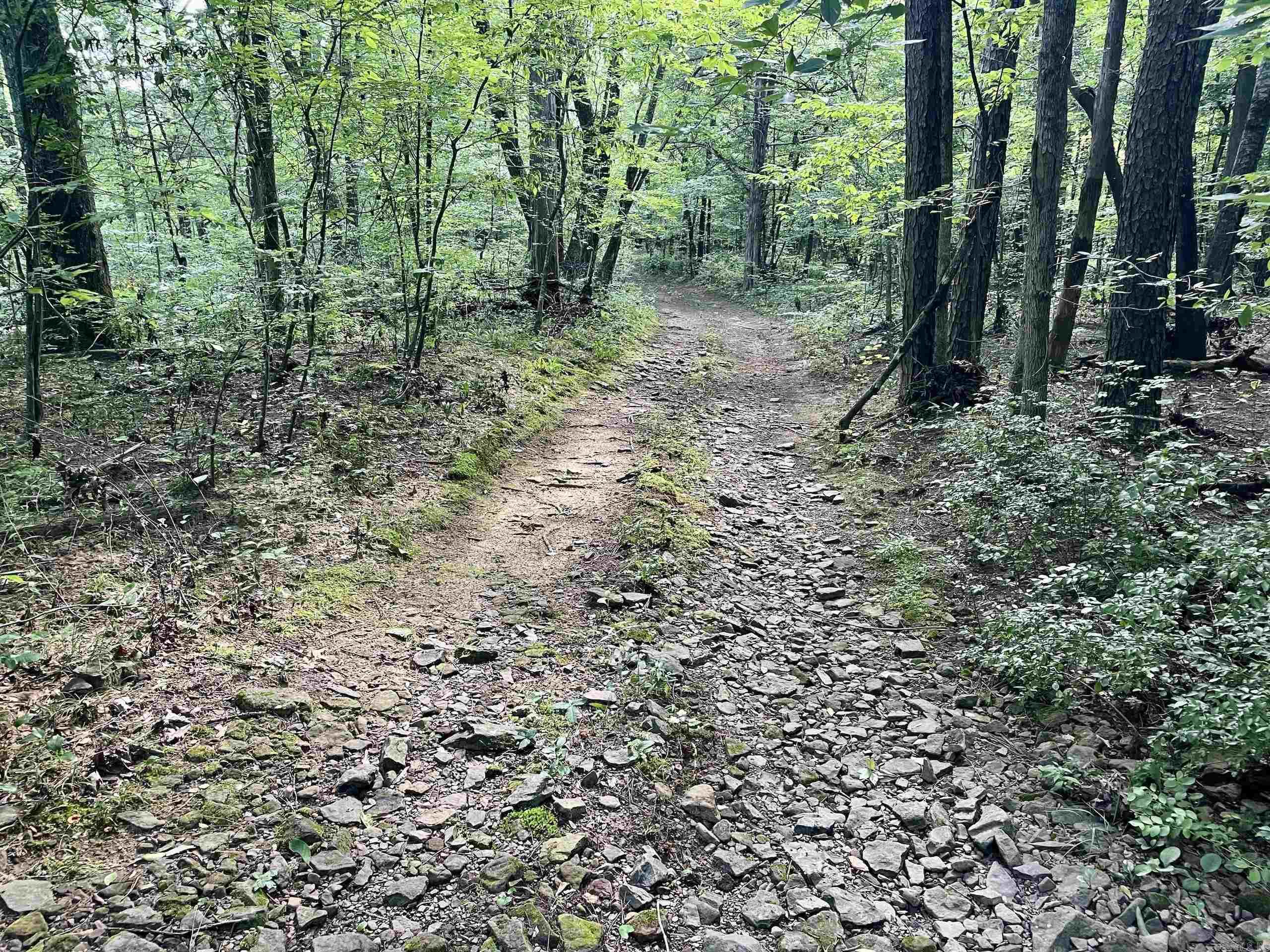 000 Beckett Mountain Road  Mount Vernon, AR
