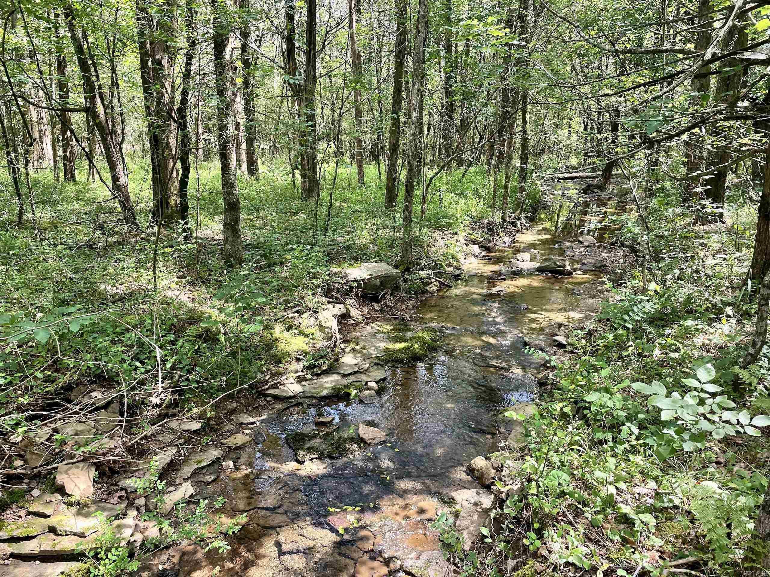 000 Beckett Mountain Road  Mount Vernon, AR