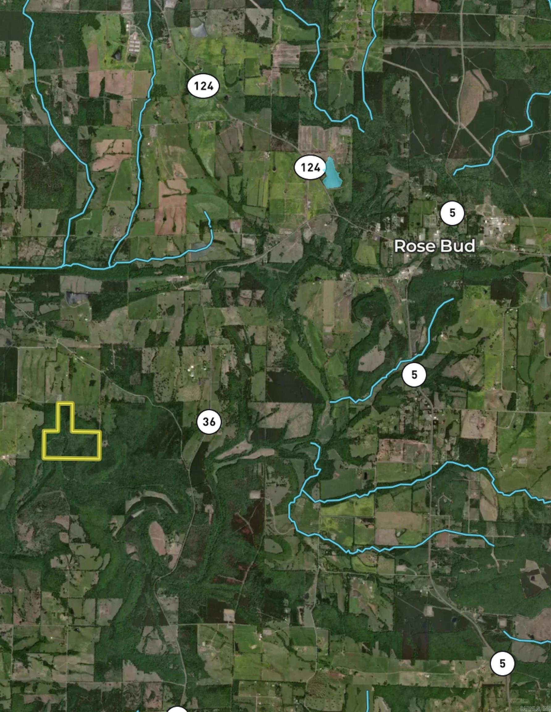 000 Beckett Mountain Road  Mount Vernon, AR