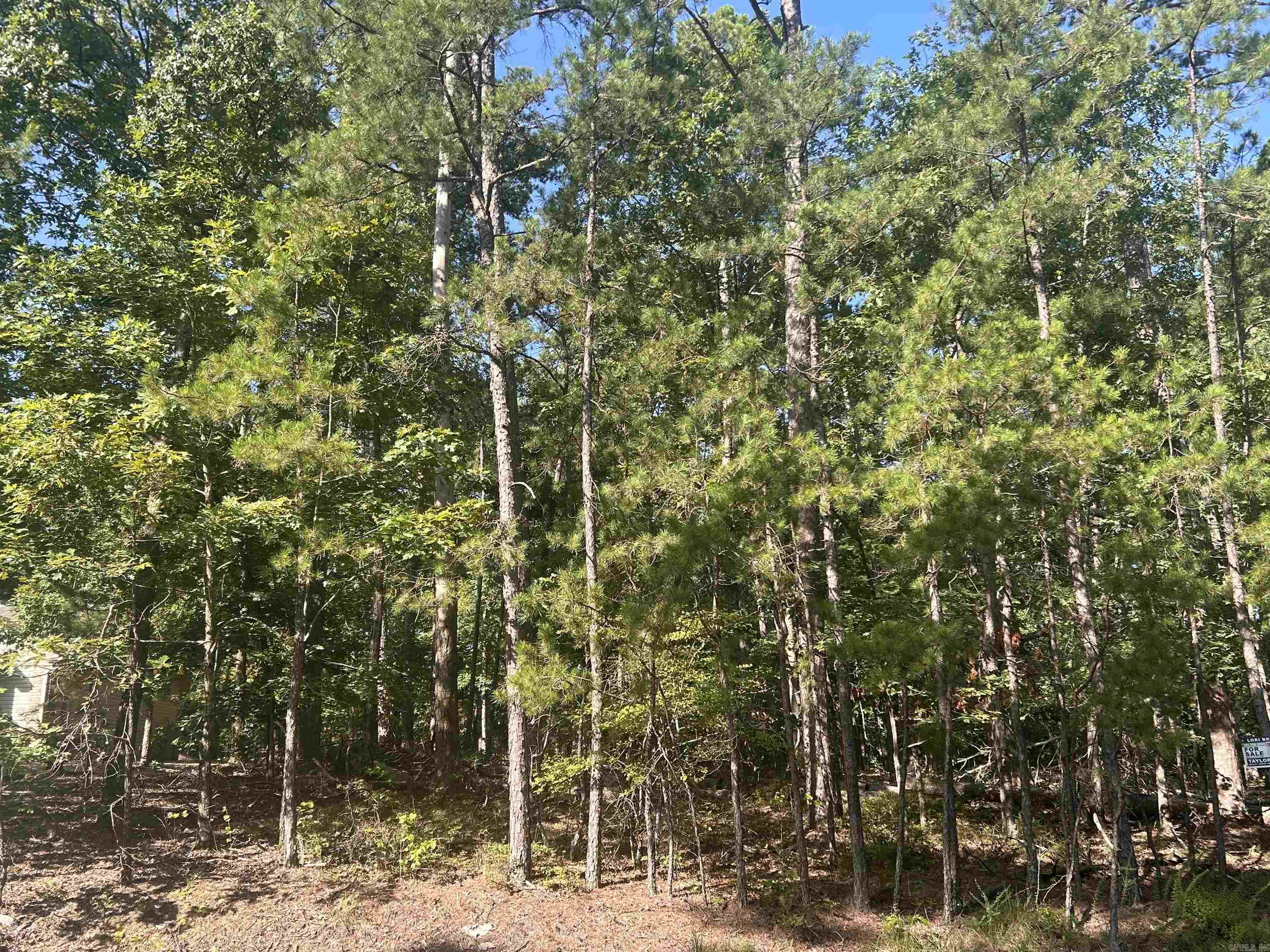 143 Viajero  Hot Springs Village, AR