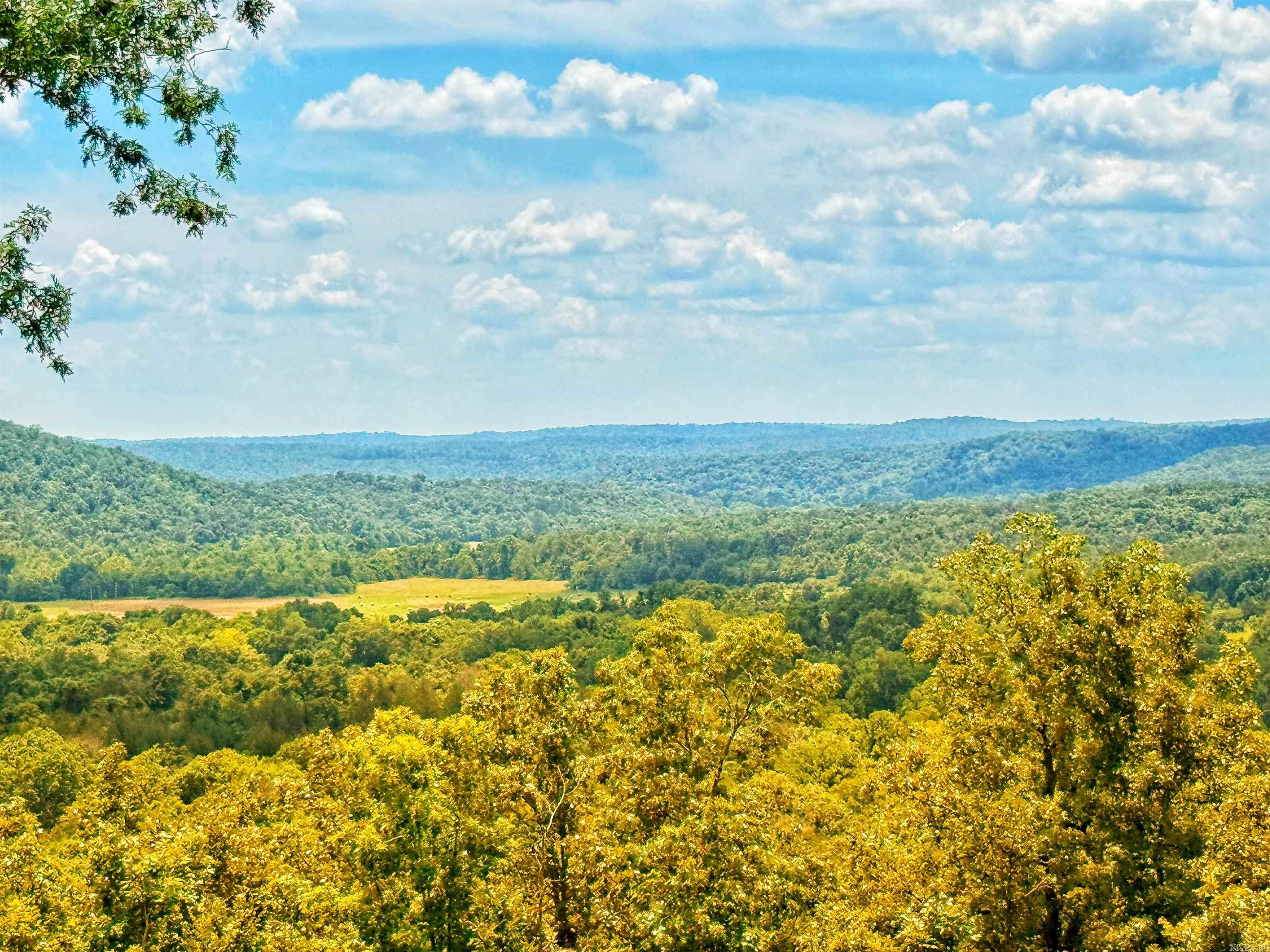 178 Paw Paw Ridge Road Hardy, AR 72542