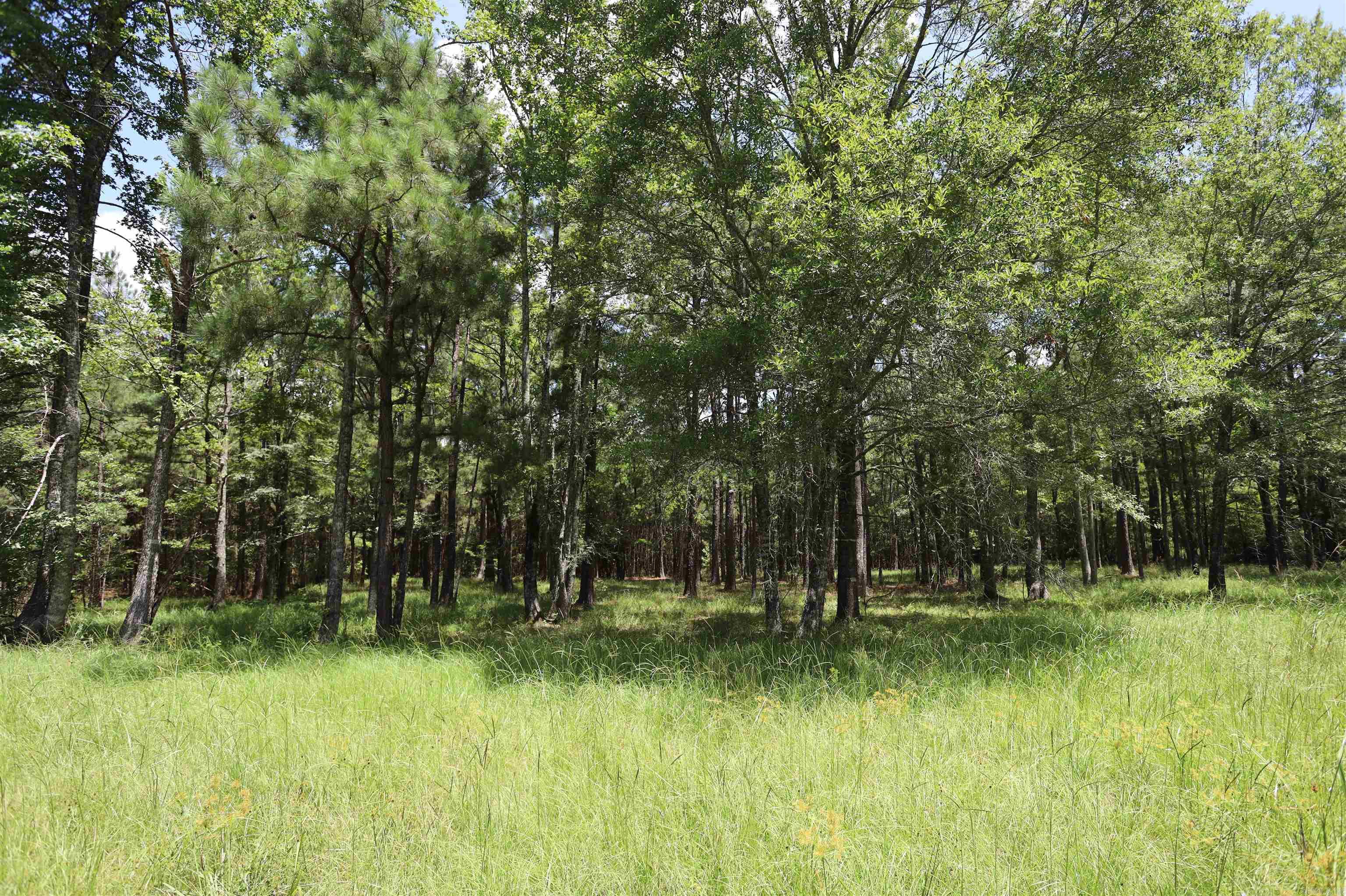 191 Bradley Rd. 30  Banks, AR