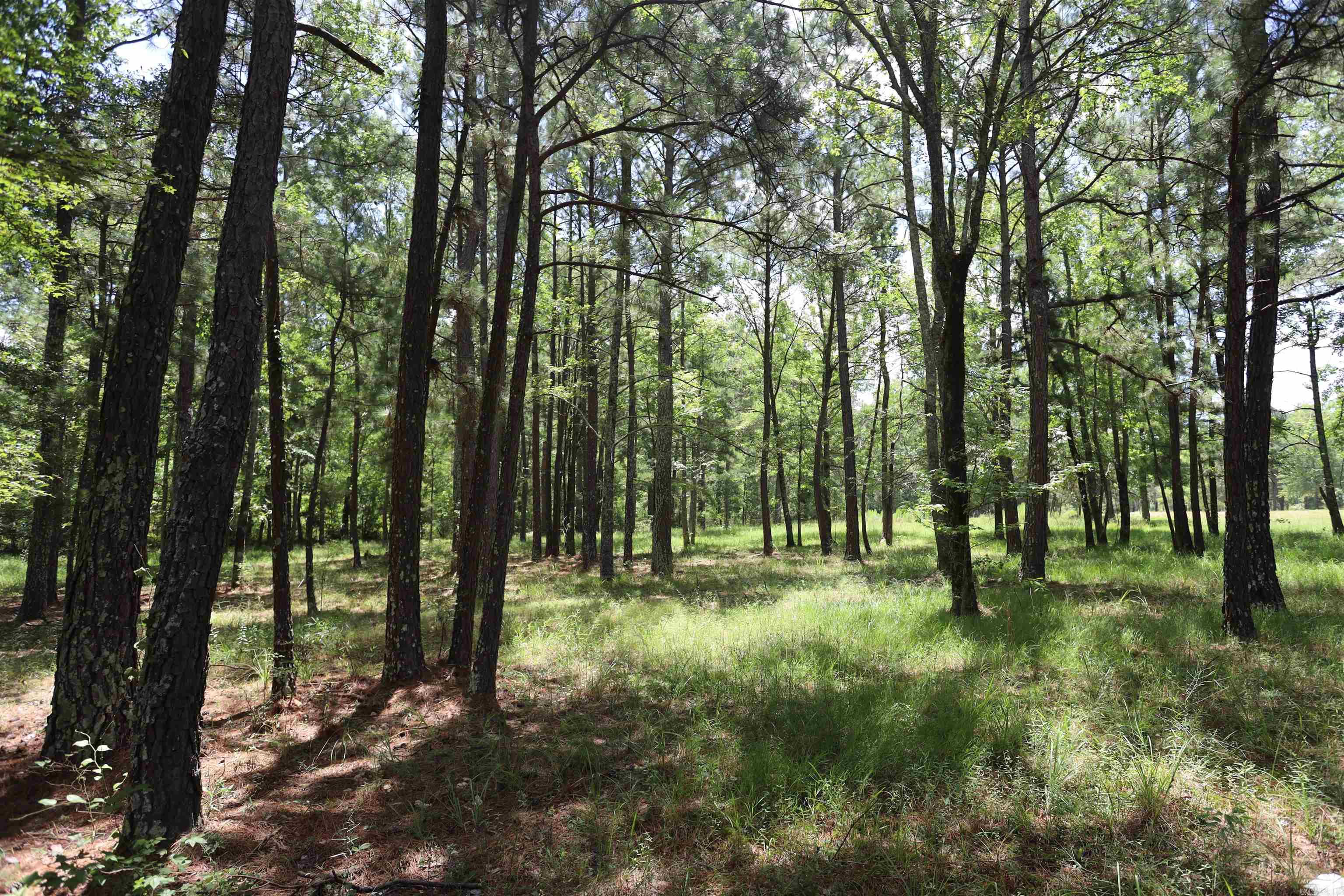 191 Bradley Rd. 30  Banks, AR