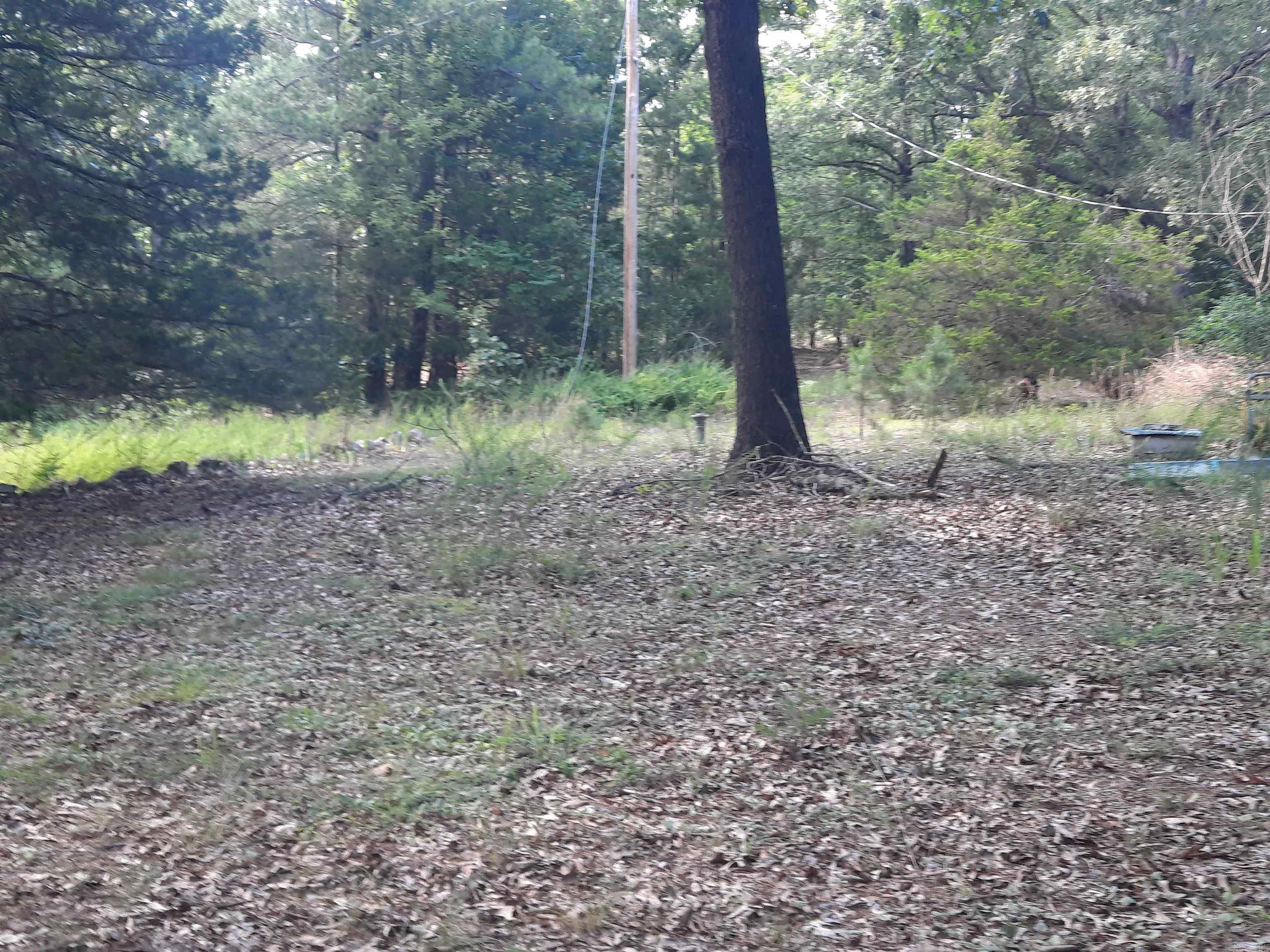 400 Wolfking  Mountain View, AR