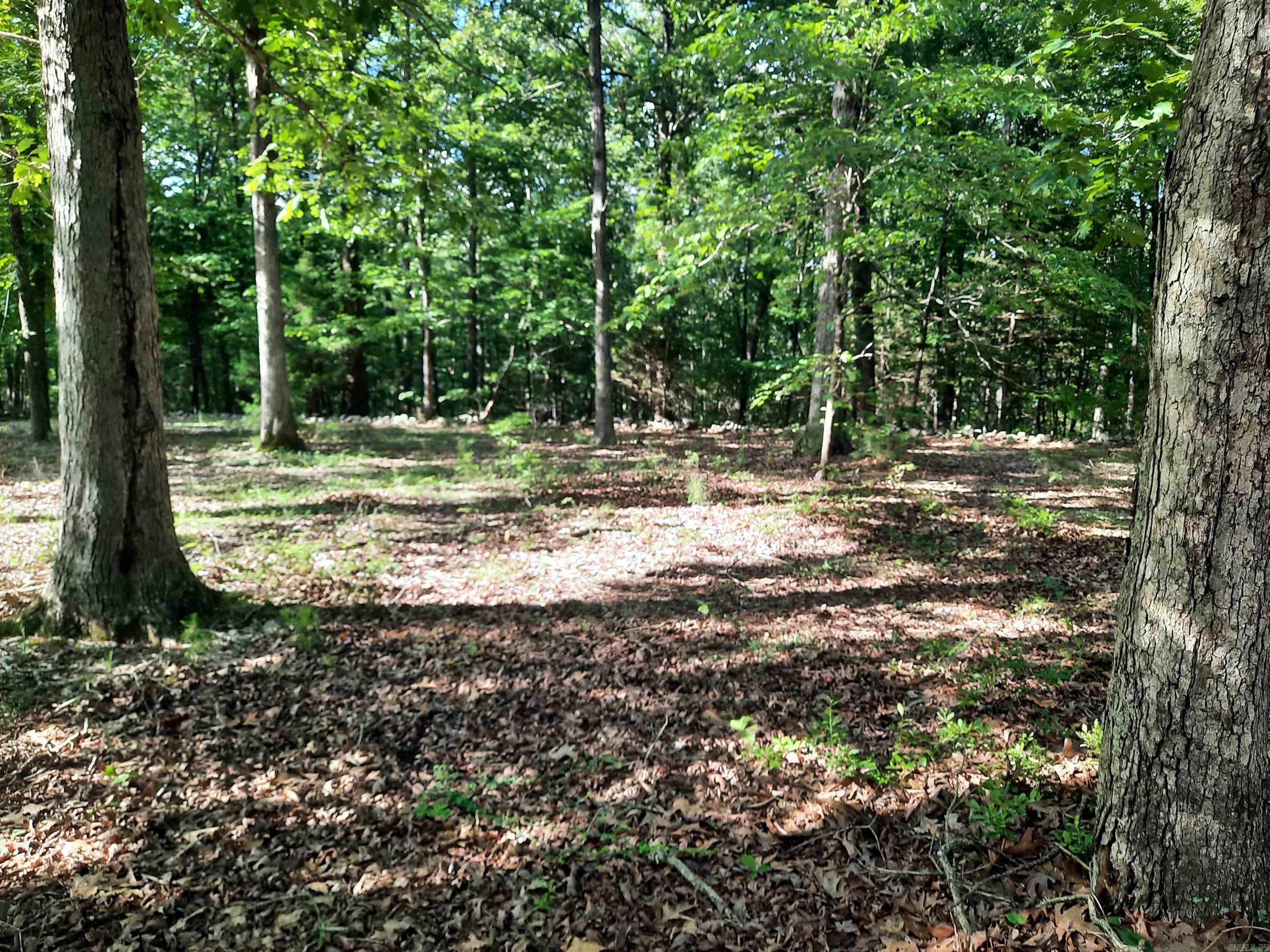 400 Wolfking  Mountain View, AR