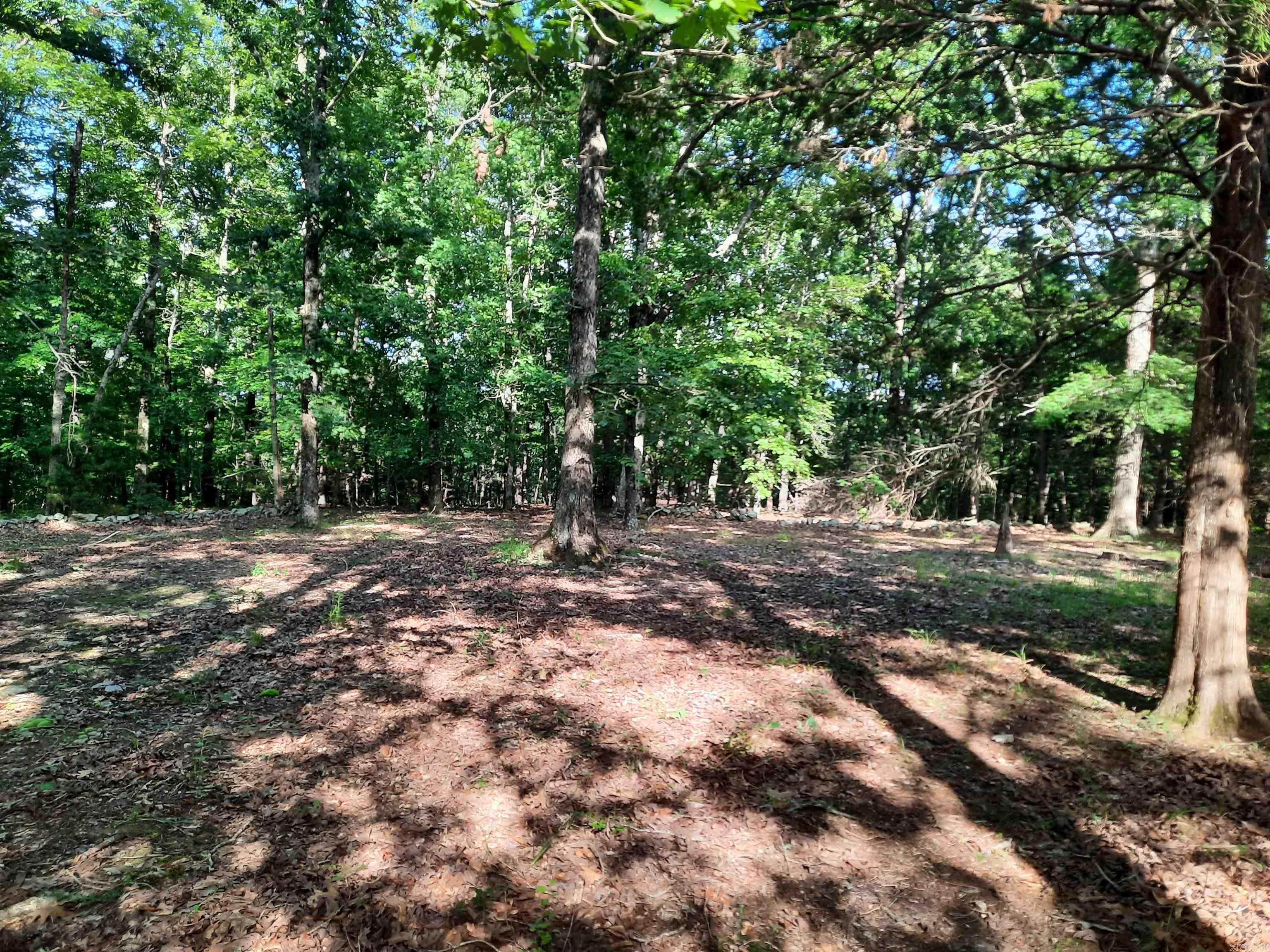 400 Wolfking  Mountain View, AR