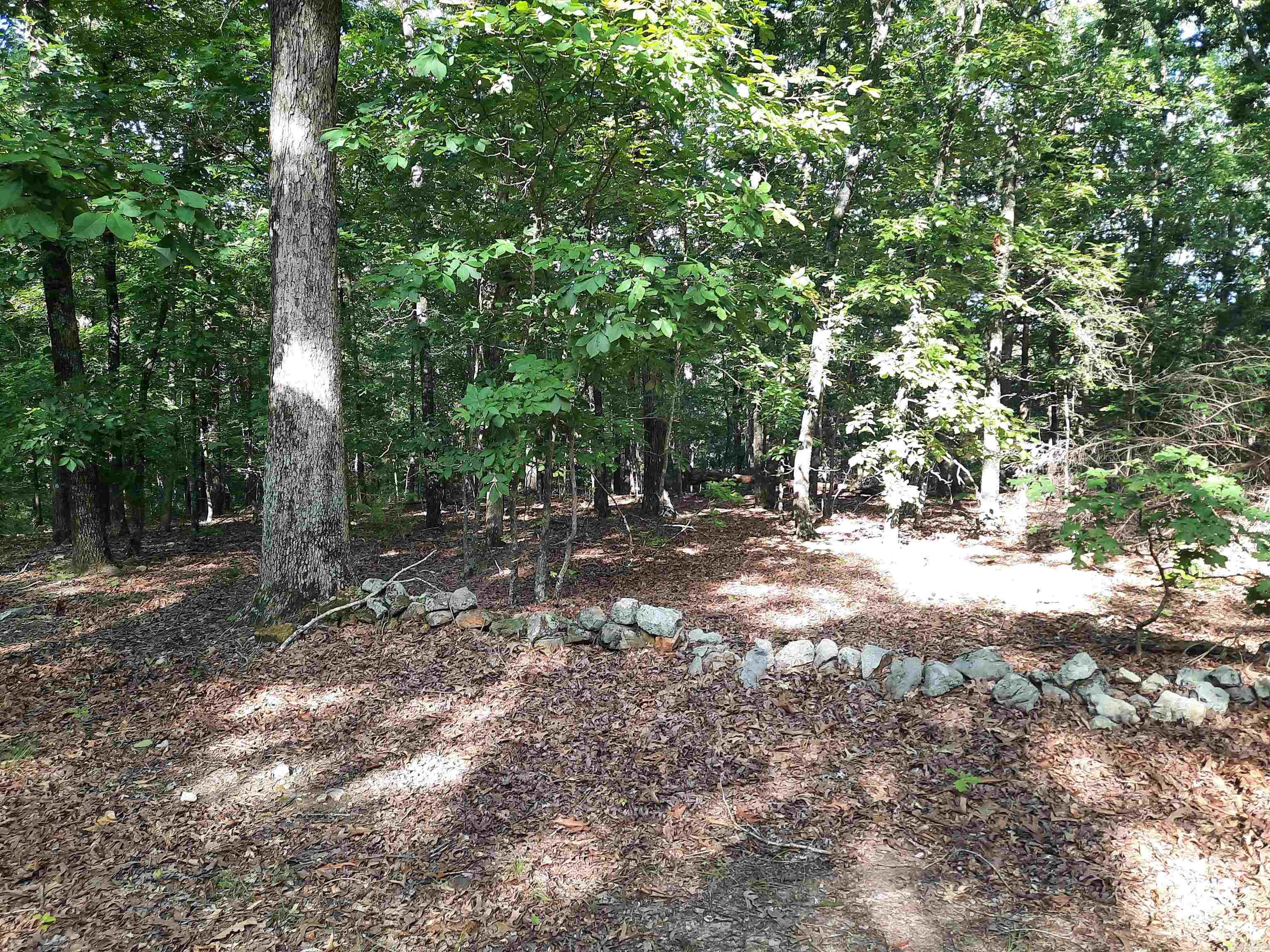 400 Wolfking  Mountain View, AR