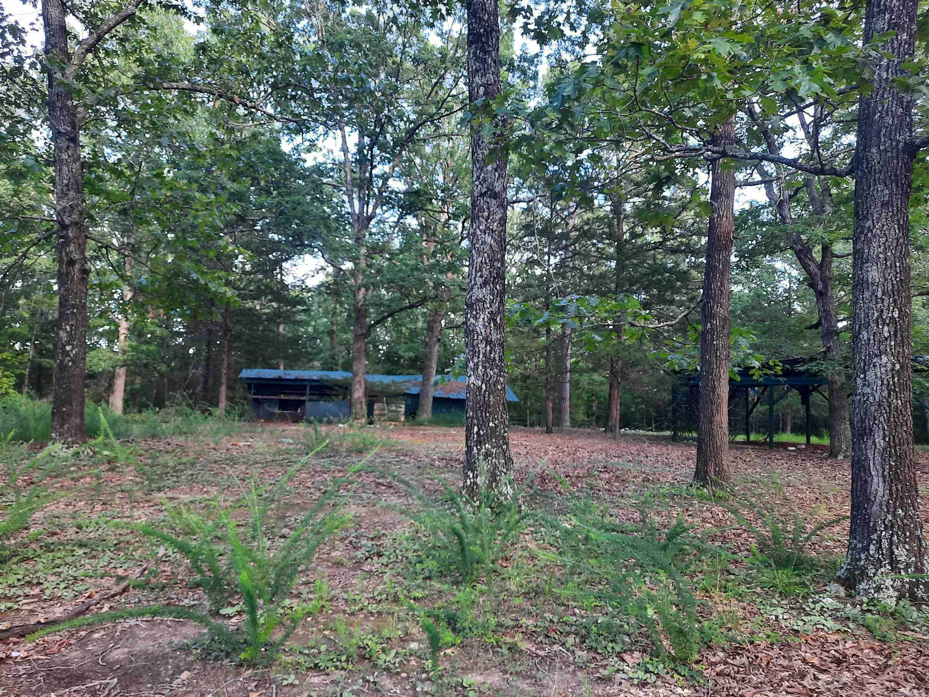 400 Wolfking  Mountain View, AR