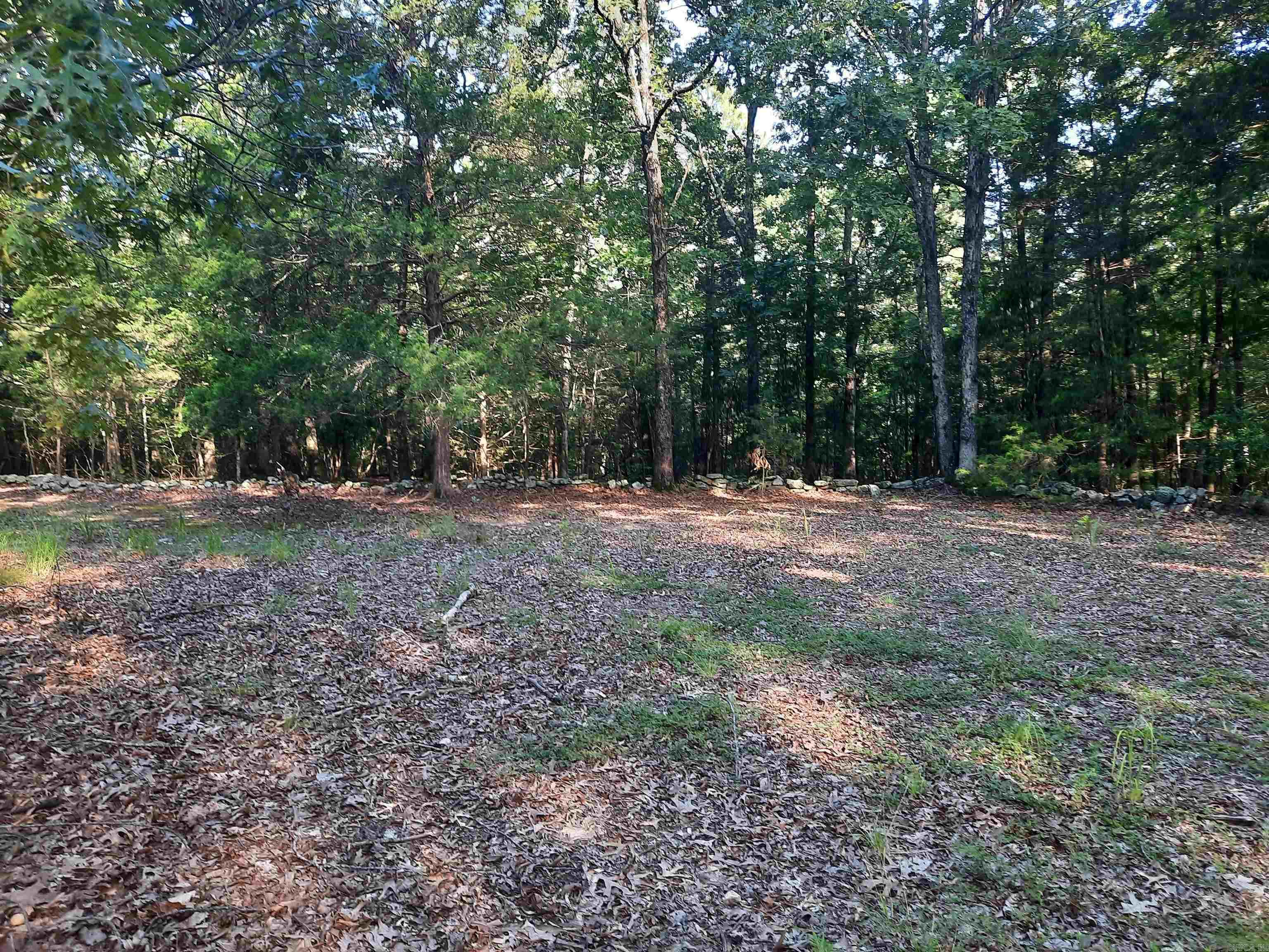 400 Wolfking  Mountain View, AR
